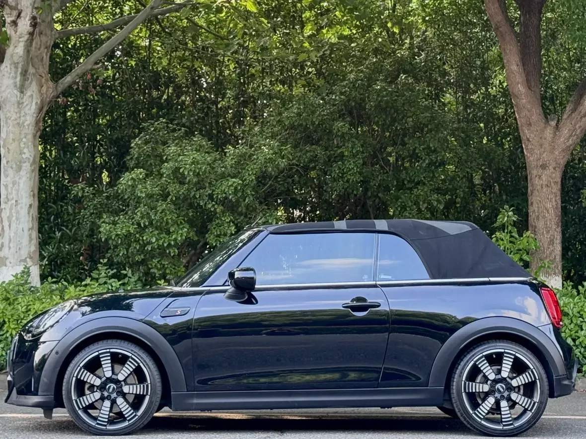 MINI 