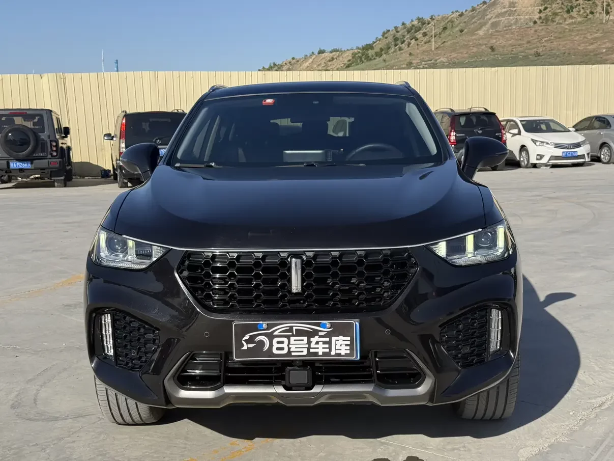 Wey Wei brand VV5