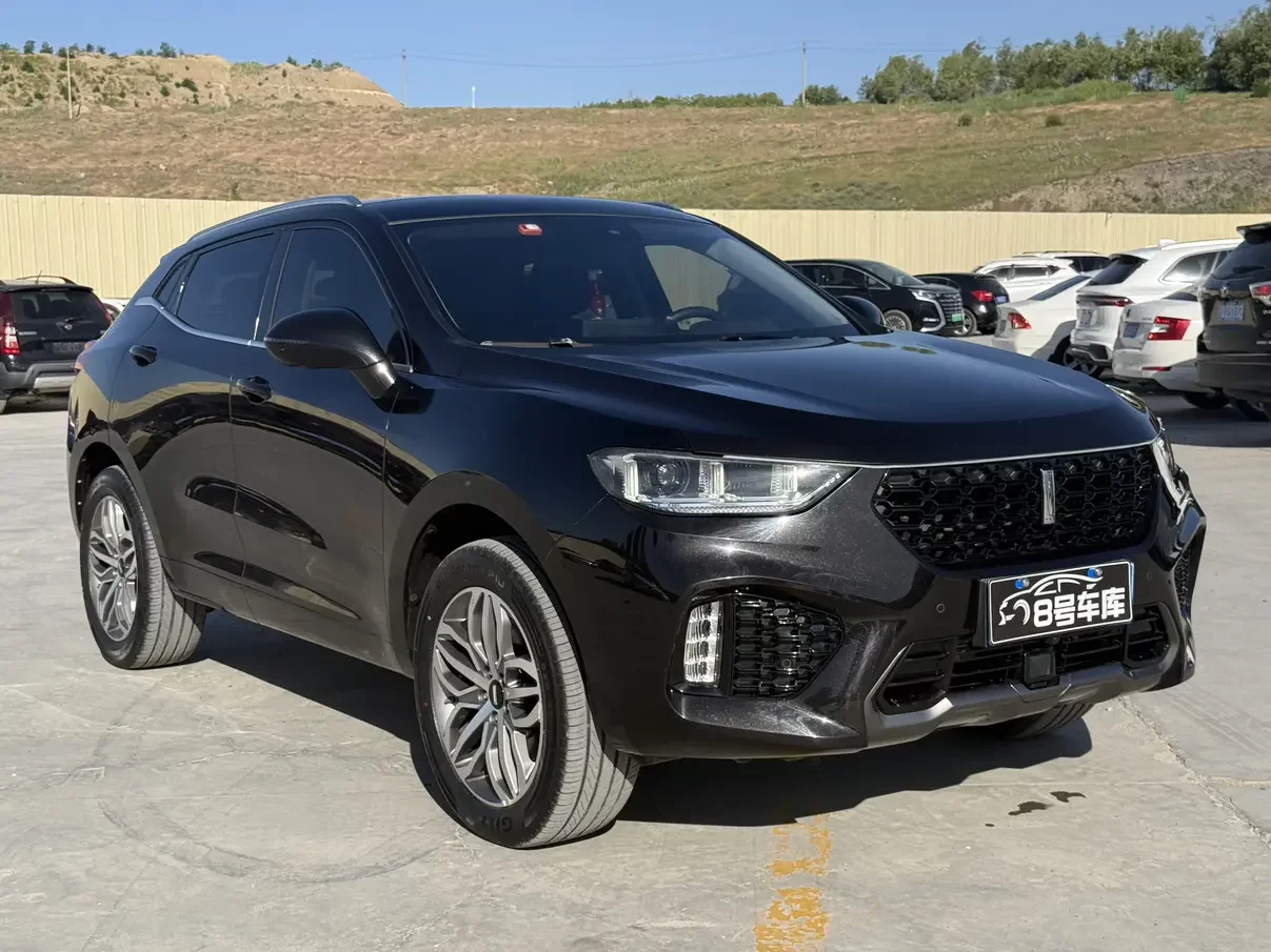 Wey Wei brand VV5