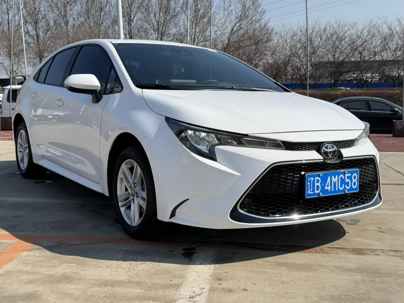 Toyota Levin