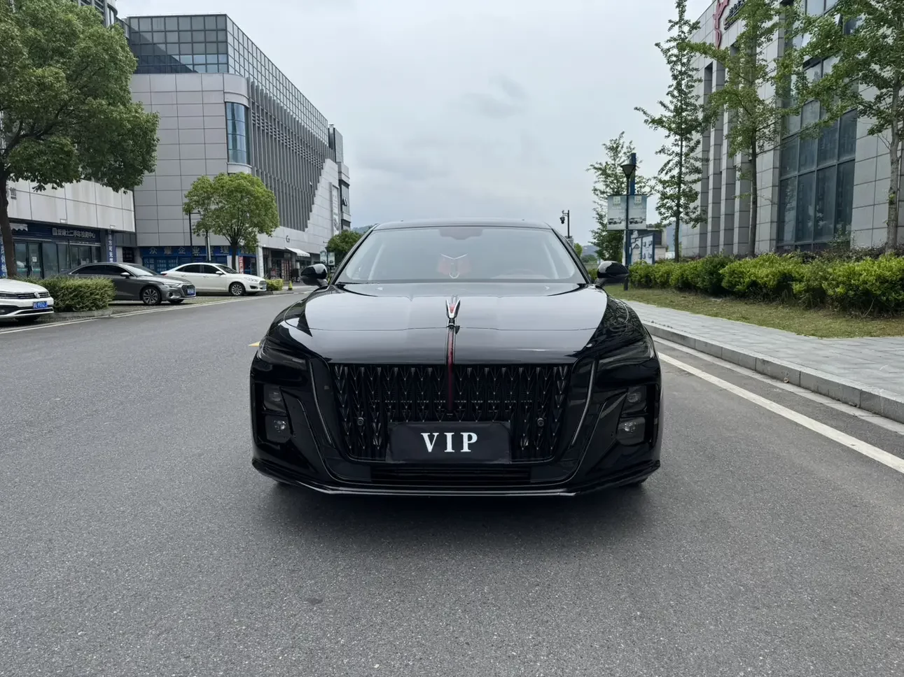 Hongqi H5