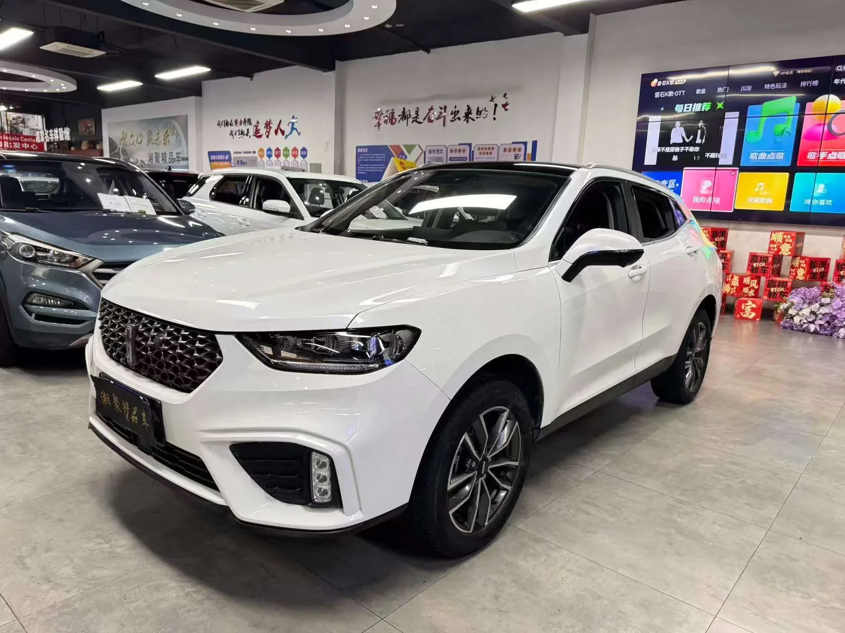 Wey Wei brand VV5