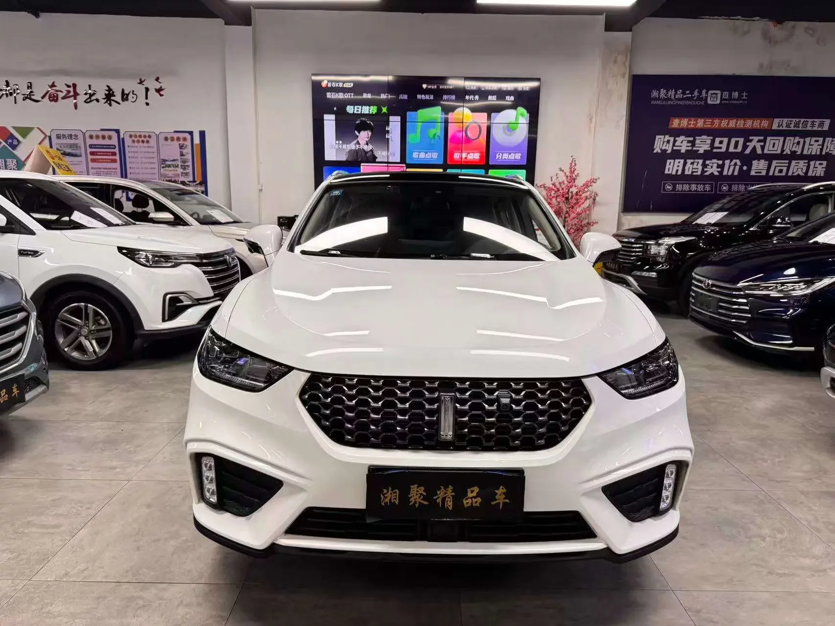 Wey Wei brand VV5