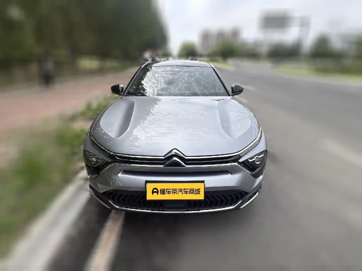 Citroën Versailles C5 X