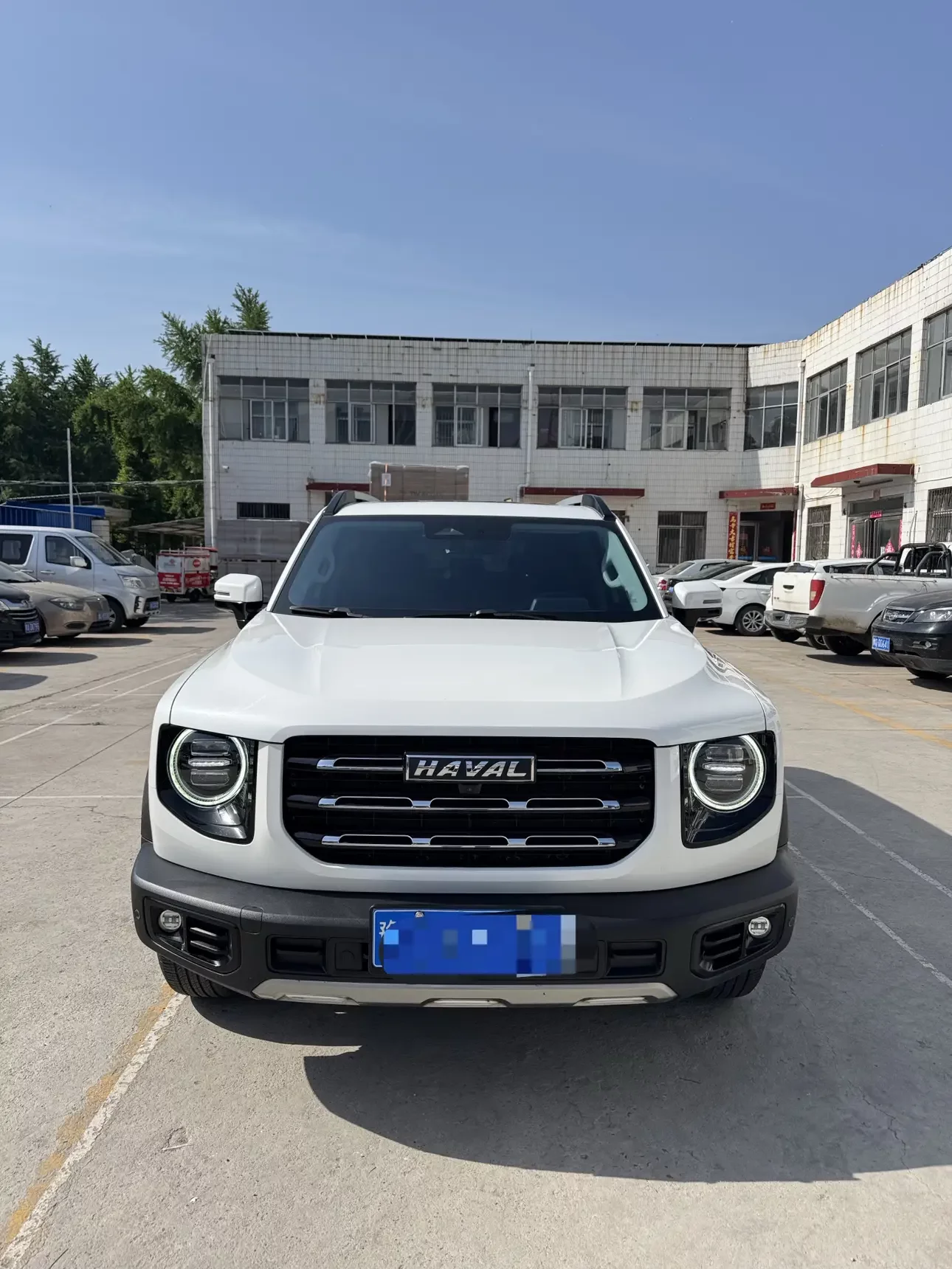 Haval Dargo