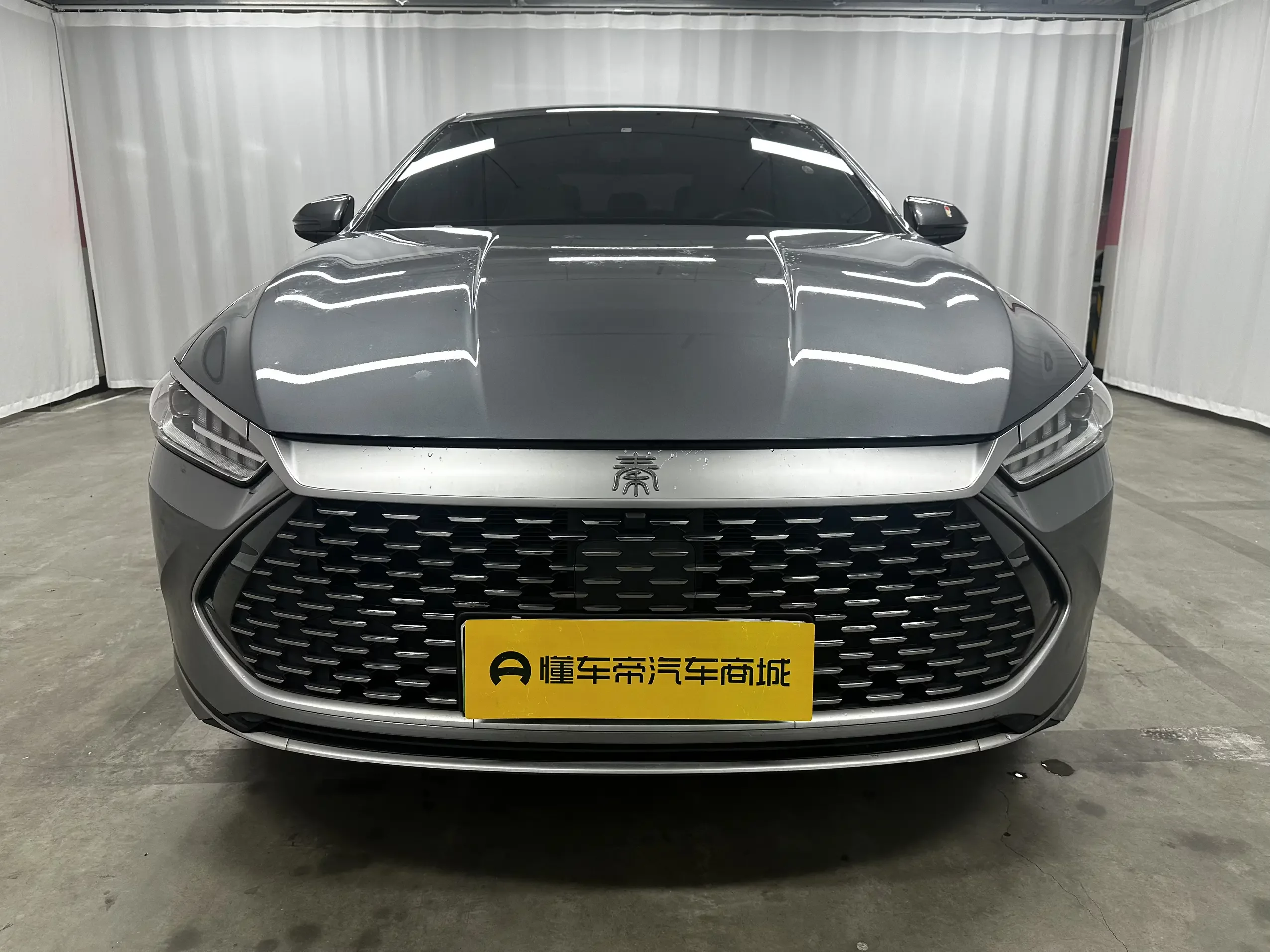 BYD Qin PLUS DM