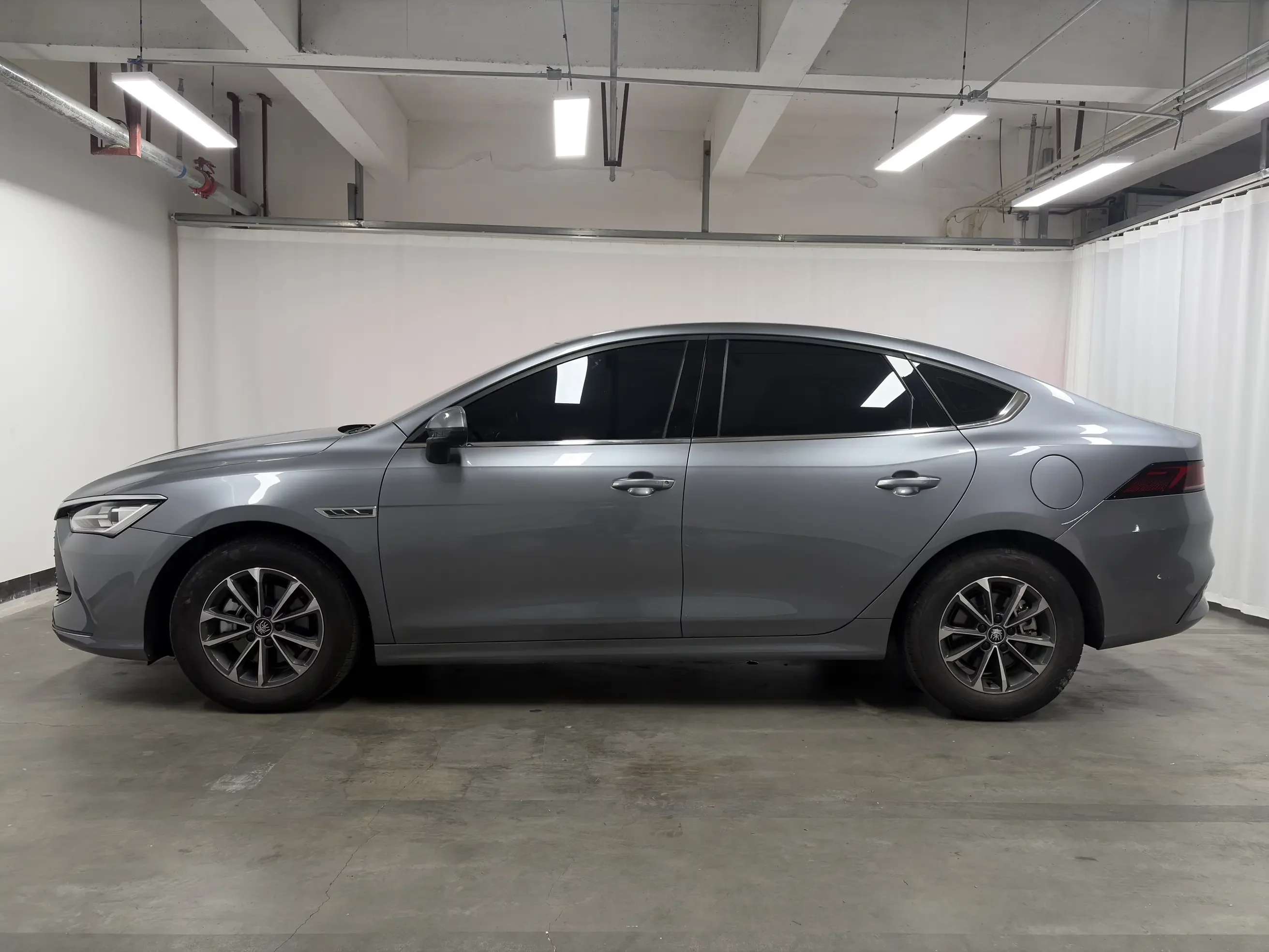 BYD Qin PLUS DM