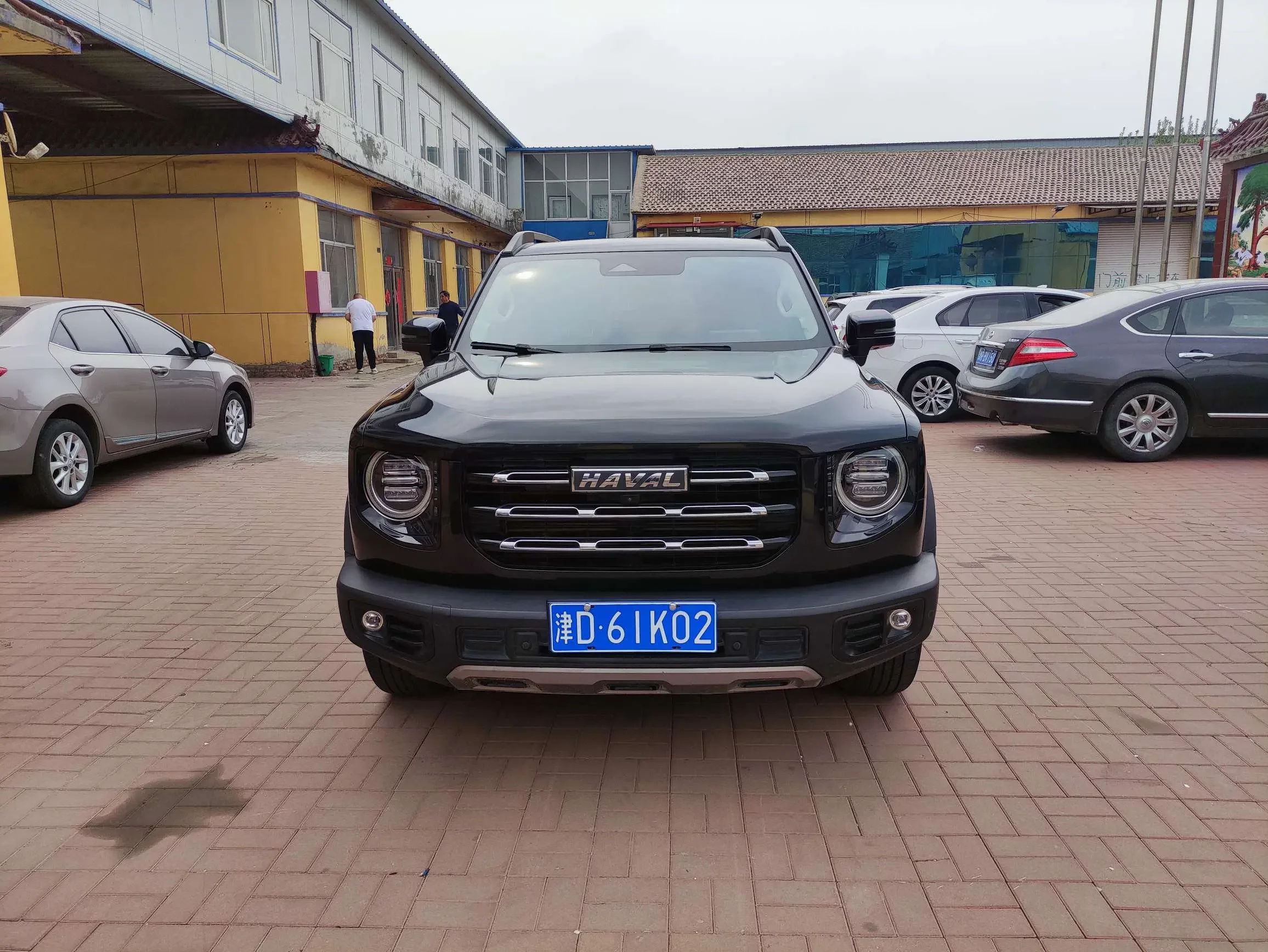 Haval Dargo