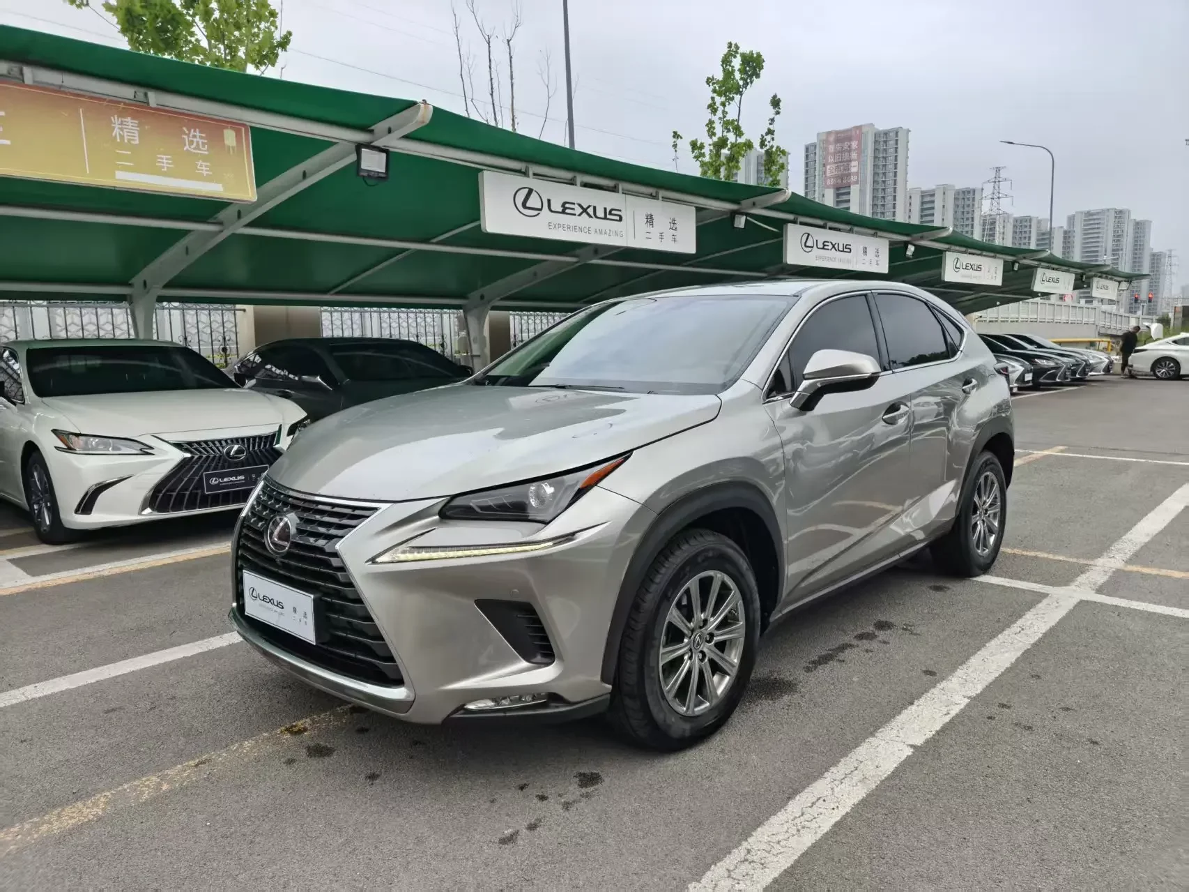 Lexus NX