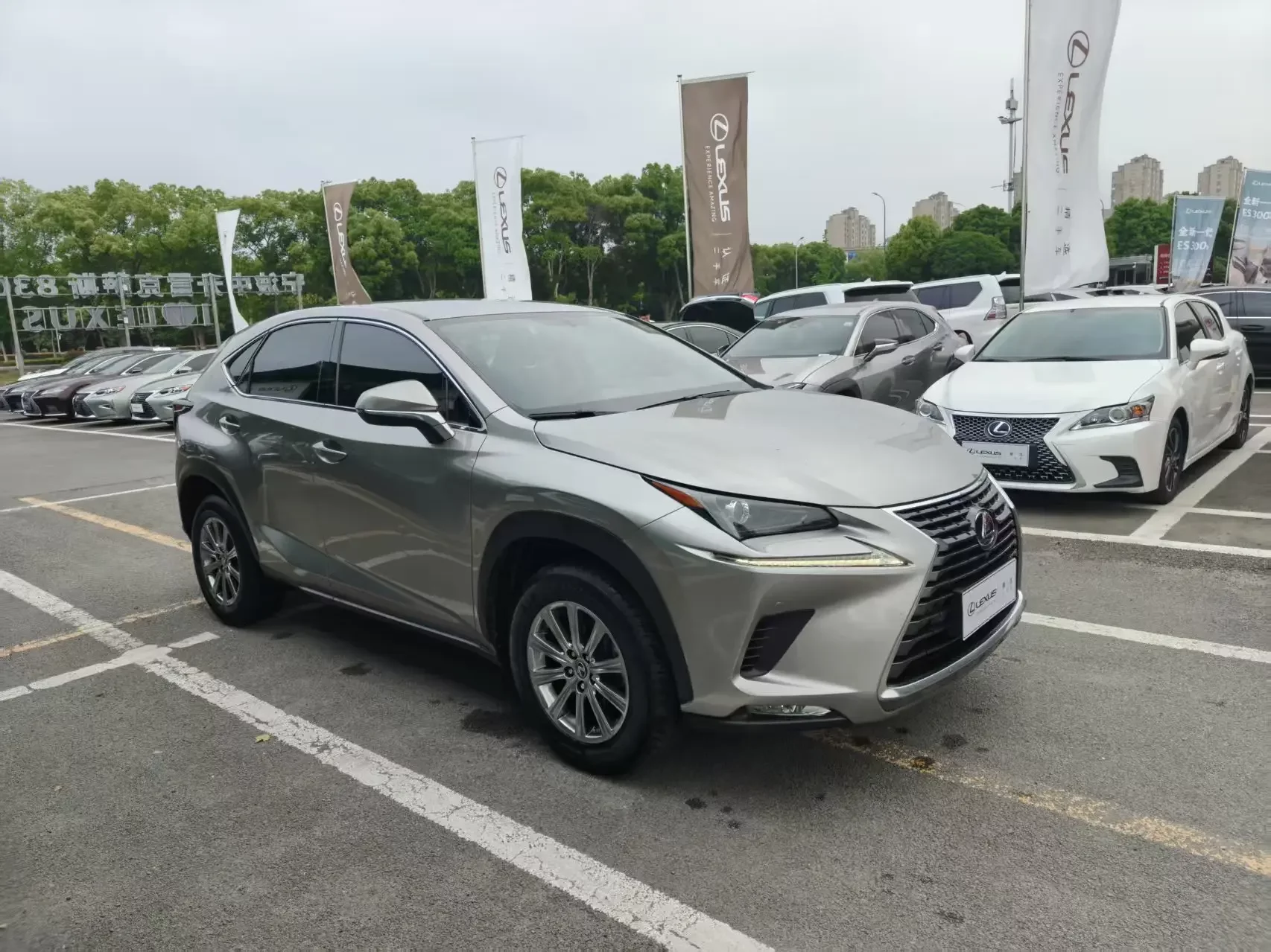Lexus NX