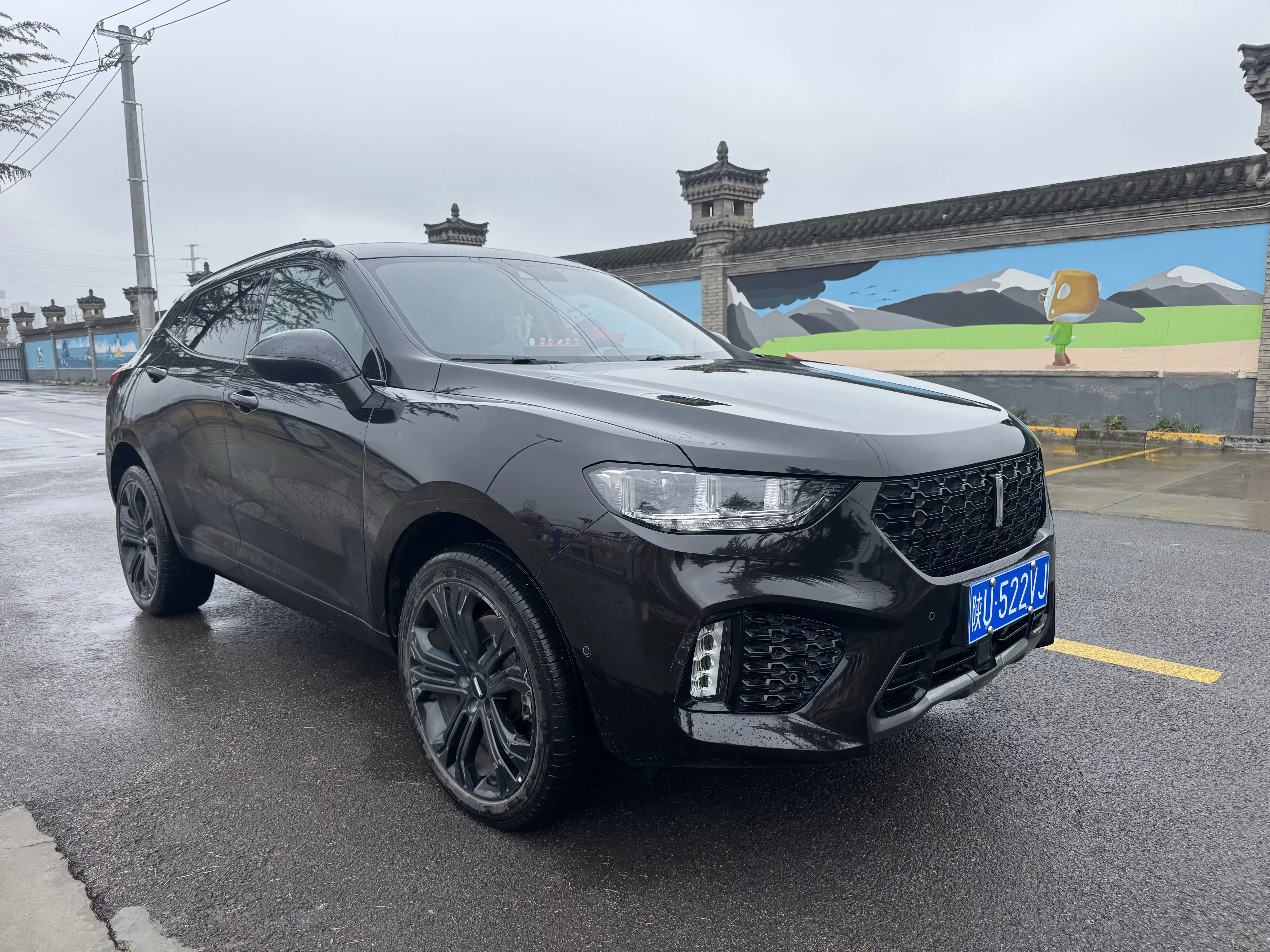 Wey Wei brand VV5