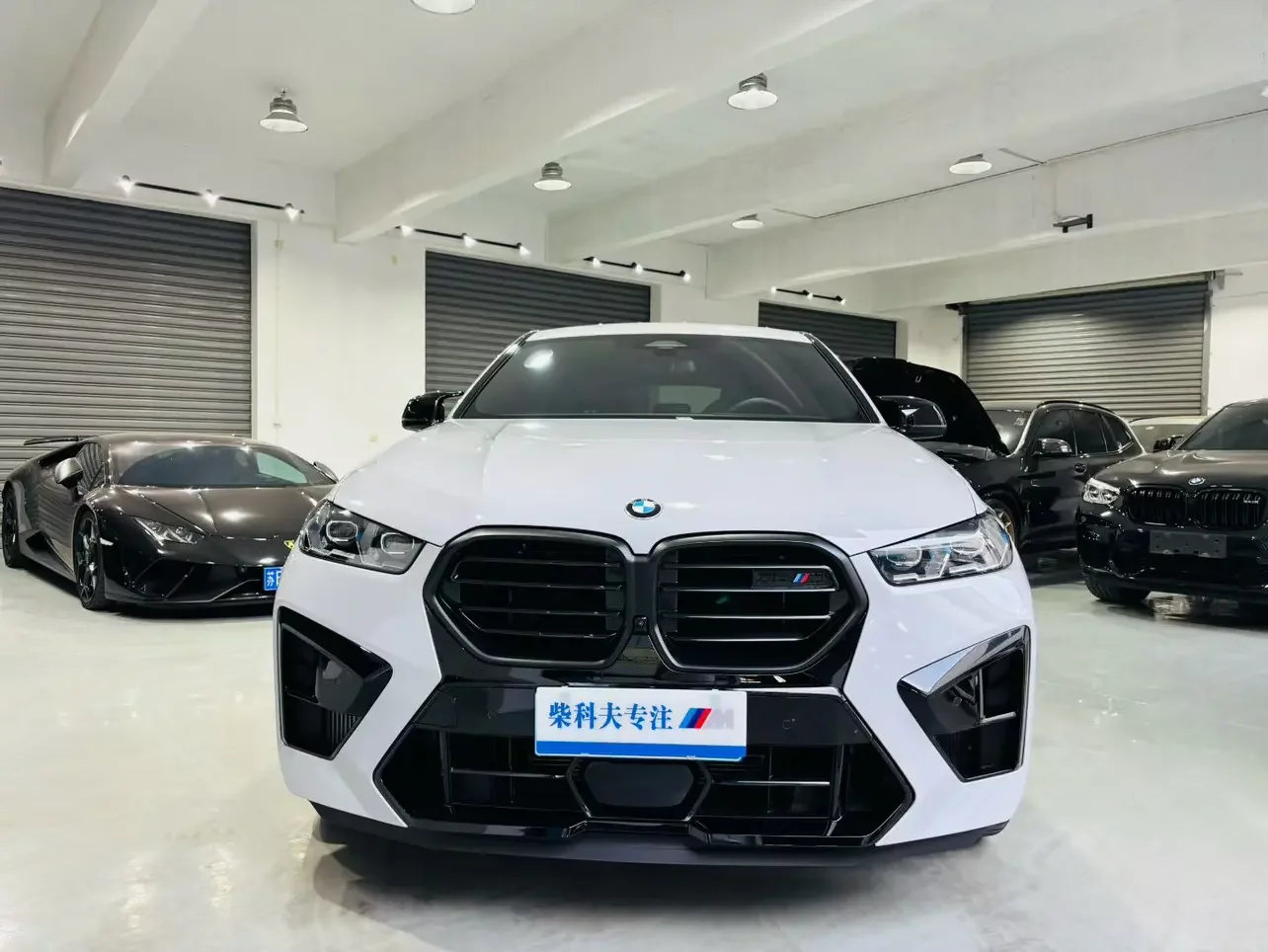 BMW X6 M