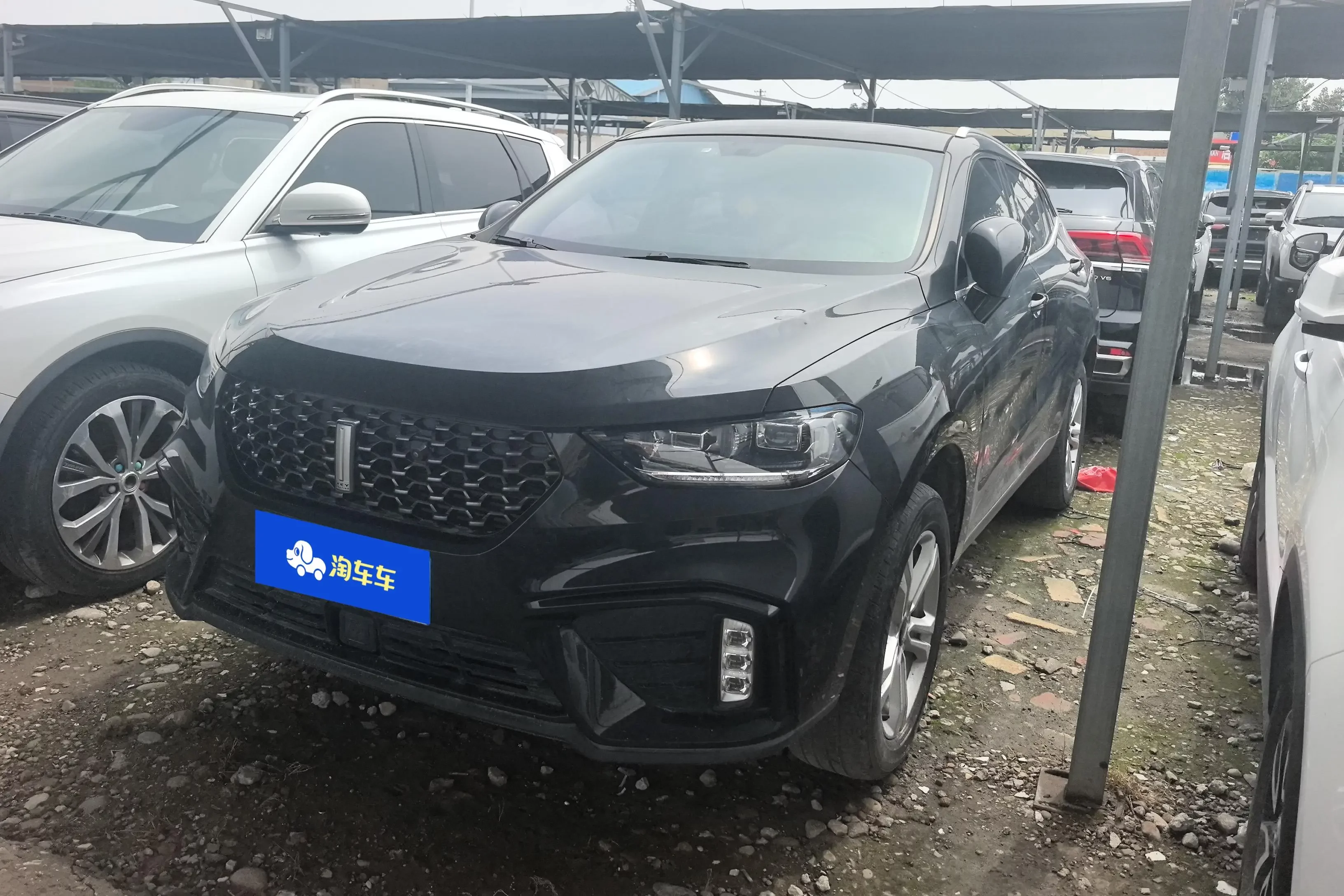 Wey Wei brand VV5