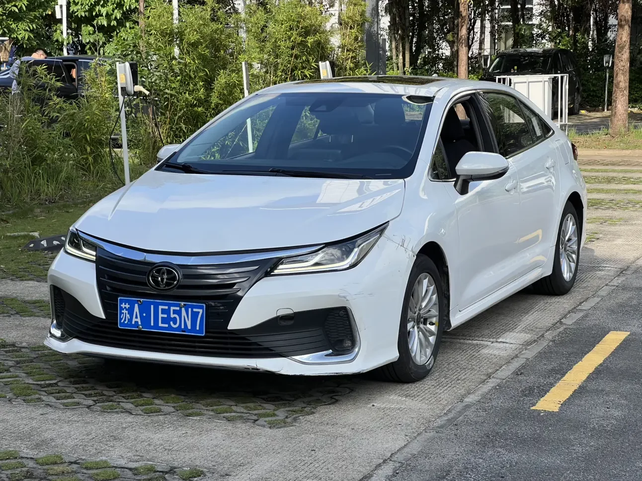 Toyota Asiatic lion