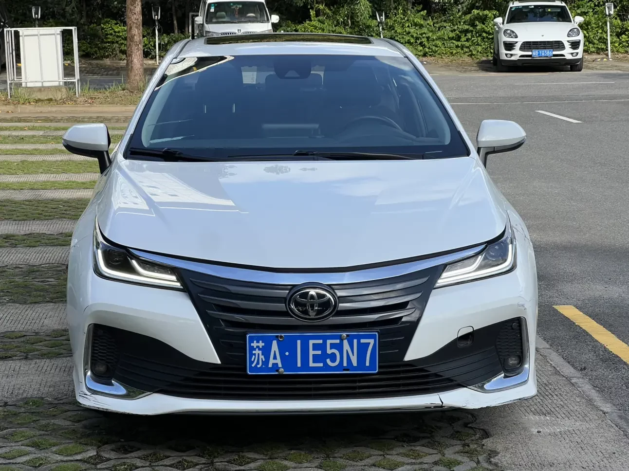 Toyota Asiatic lion