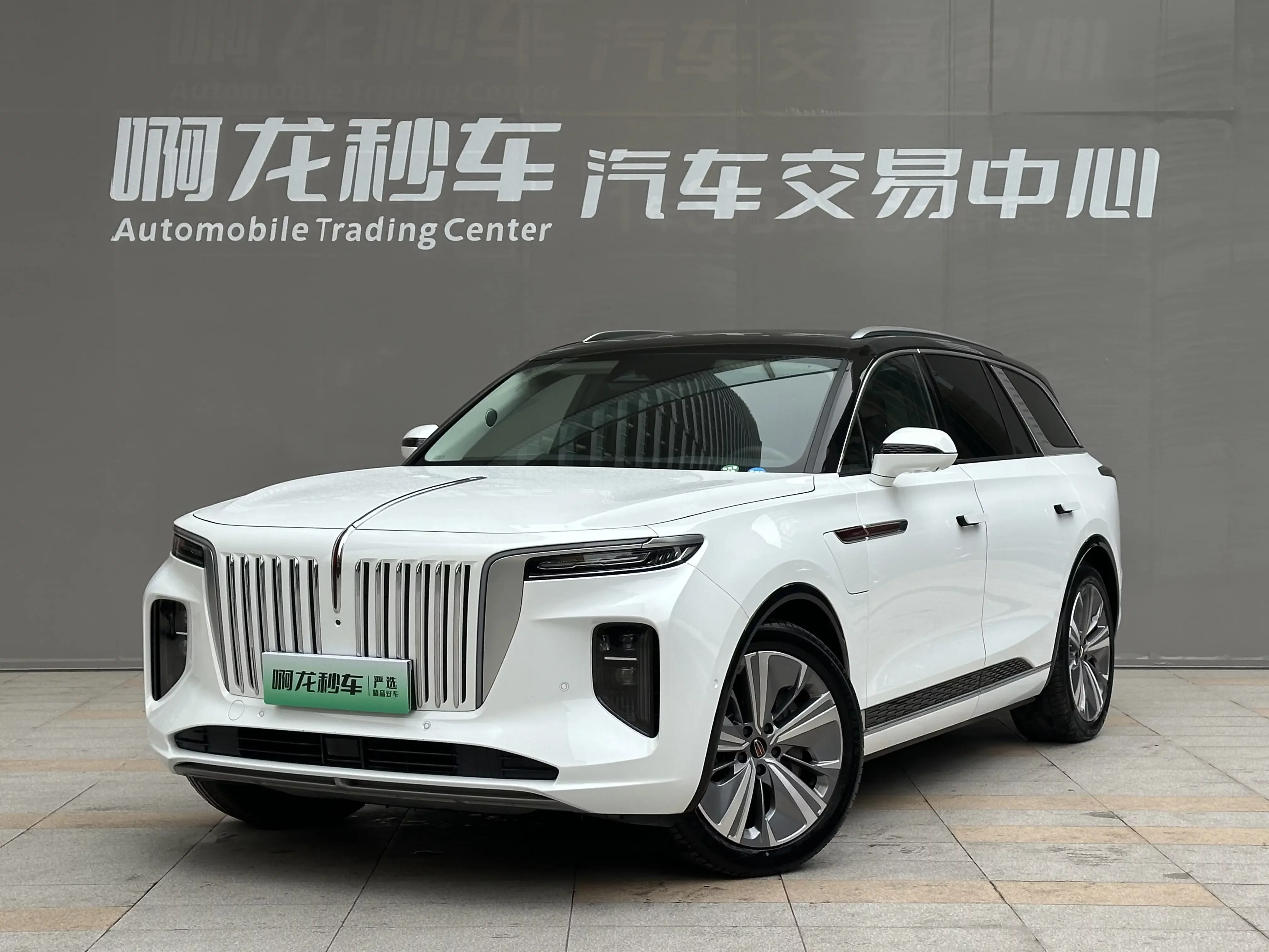 Hongqi E-HS9