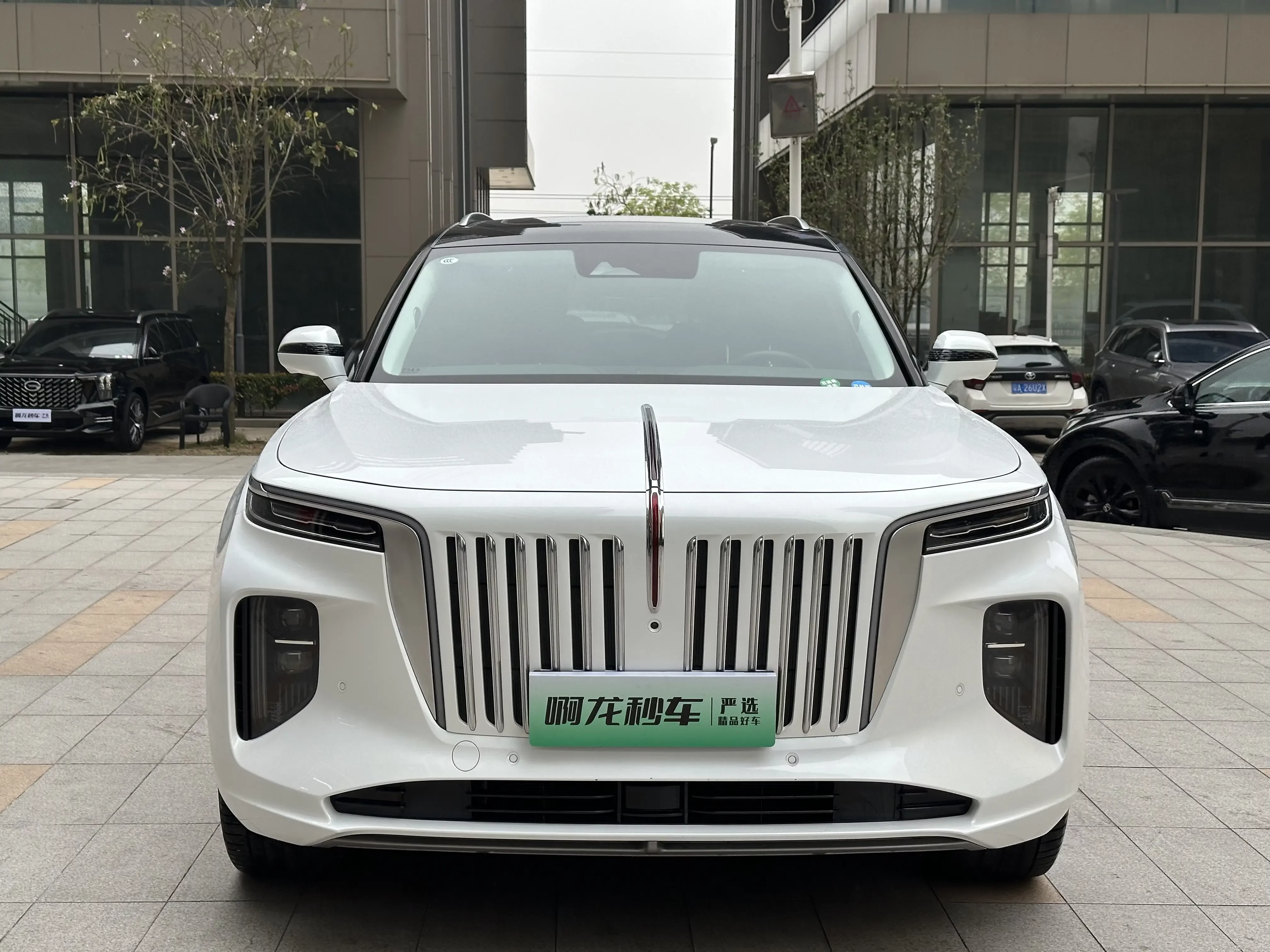 Hongqi E-HS9