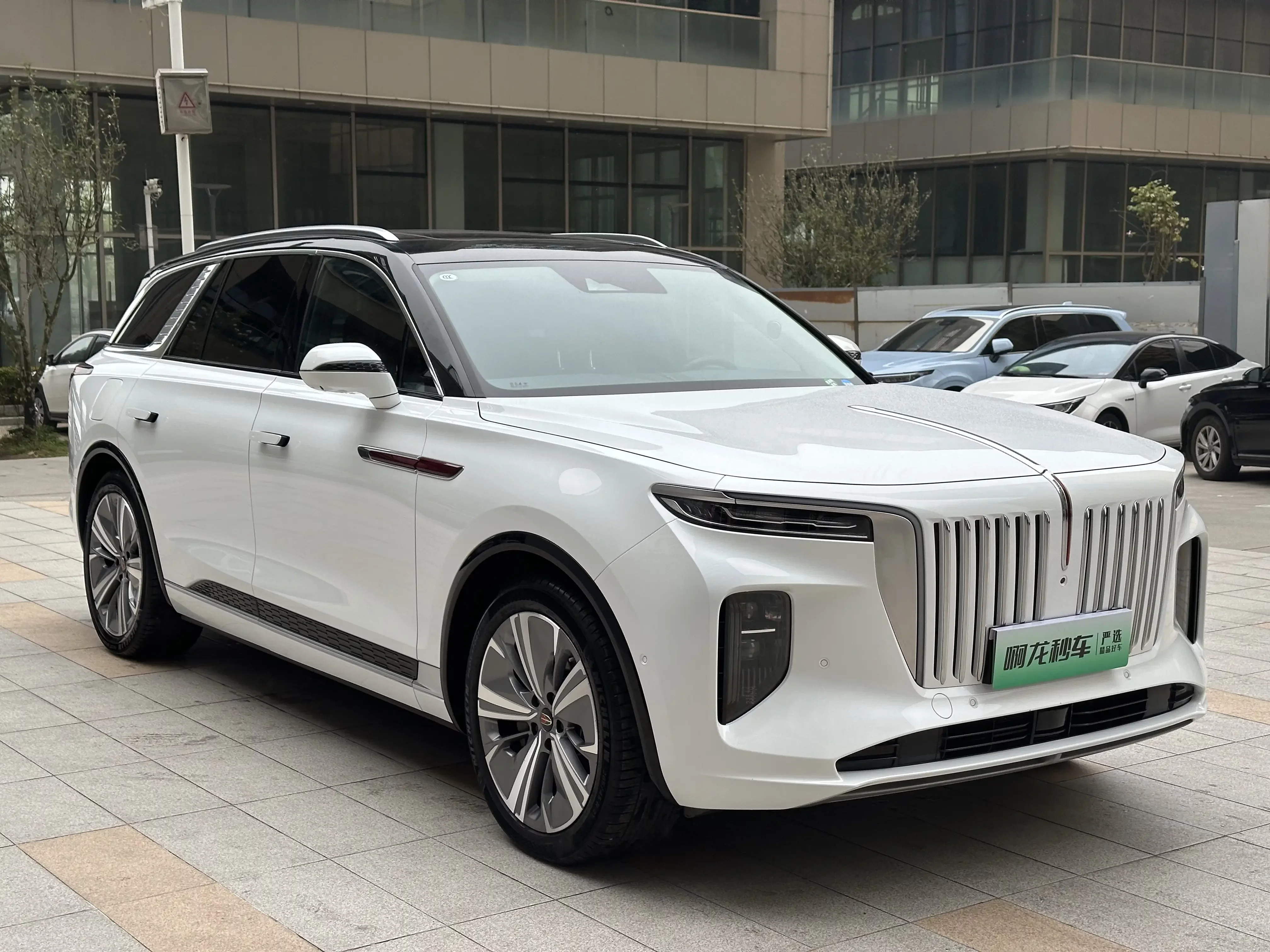 Hongqi E-HS9