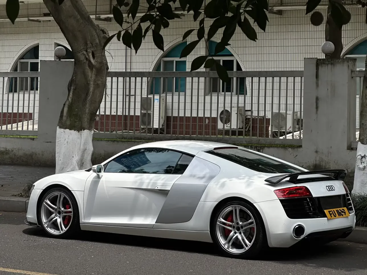 Audi R8