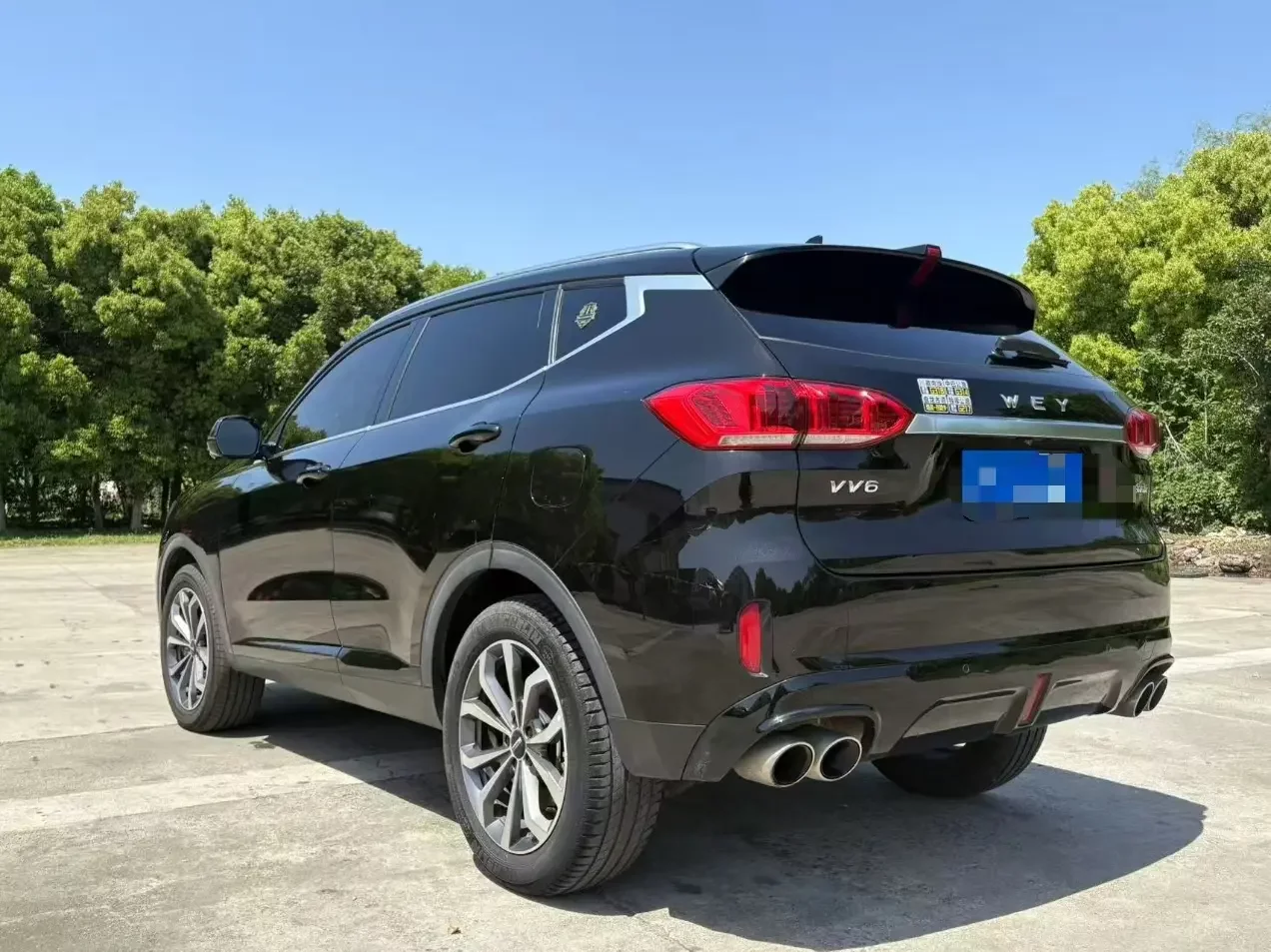 Wey Wei brand VV6