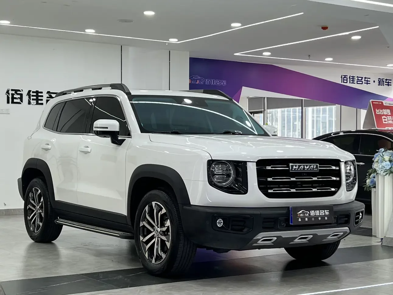 Haval Dargo