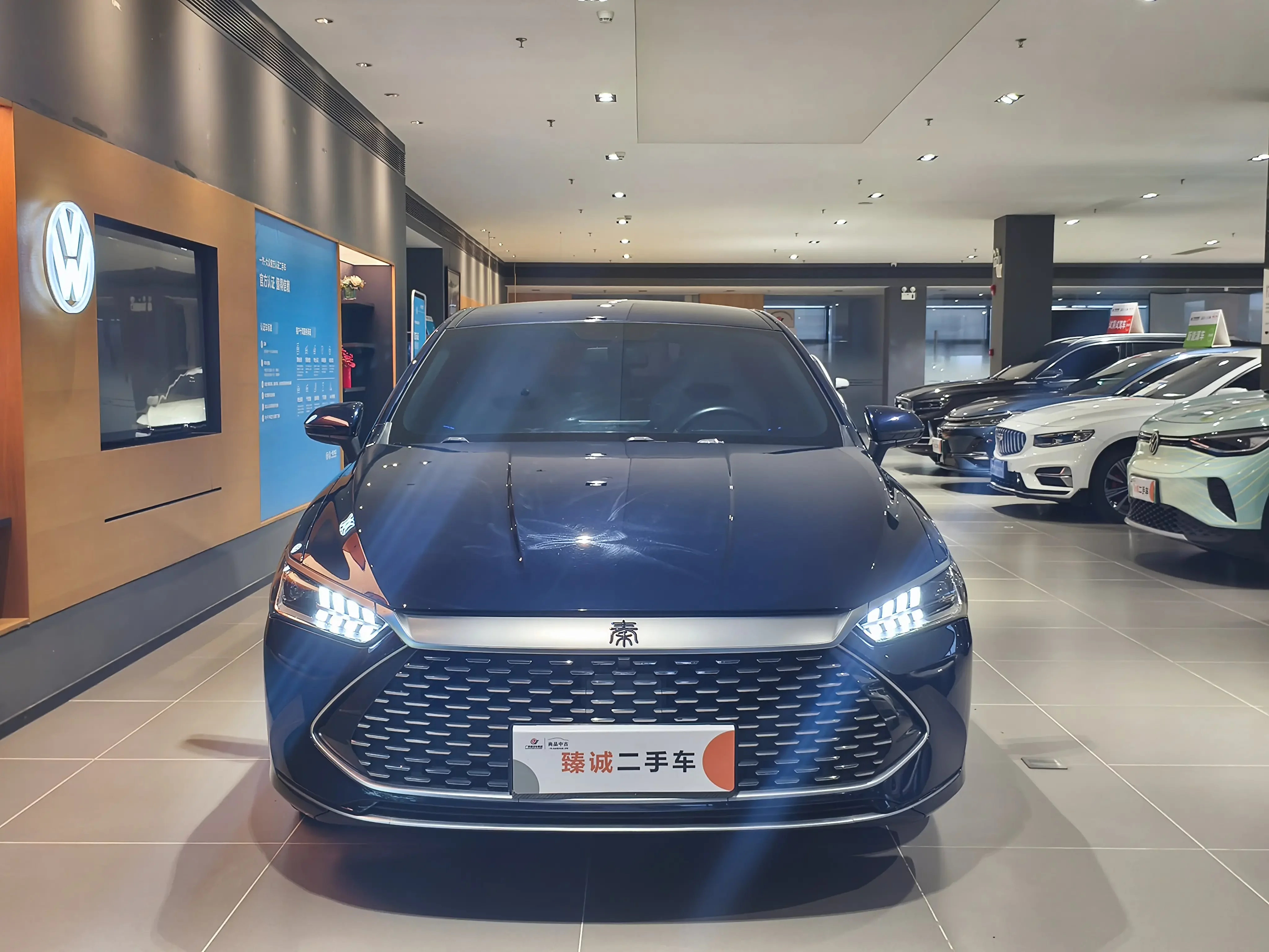 BYD Qin PLUS DM