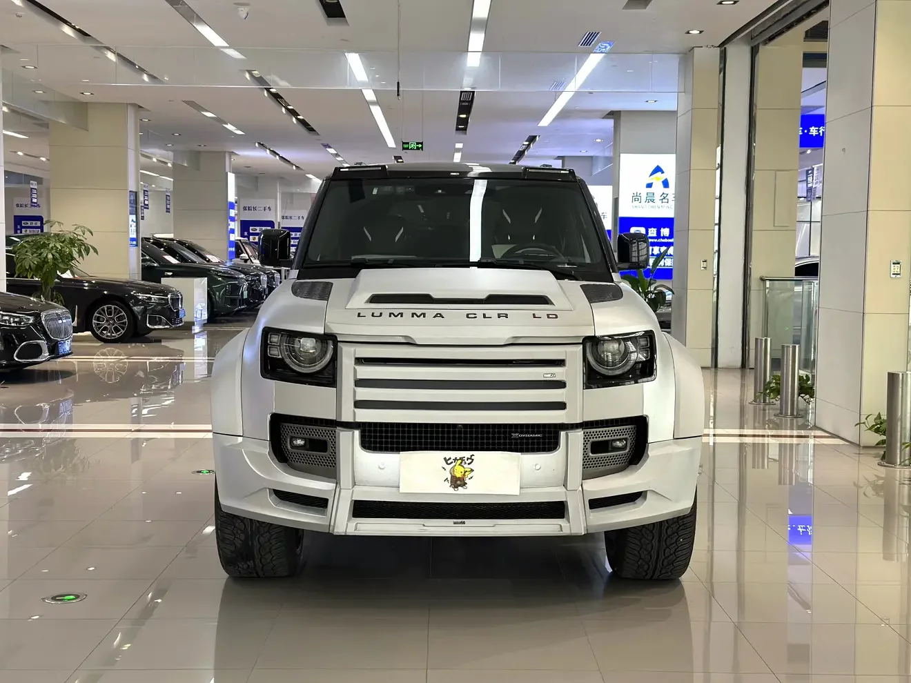 Land Rover guard