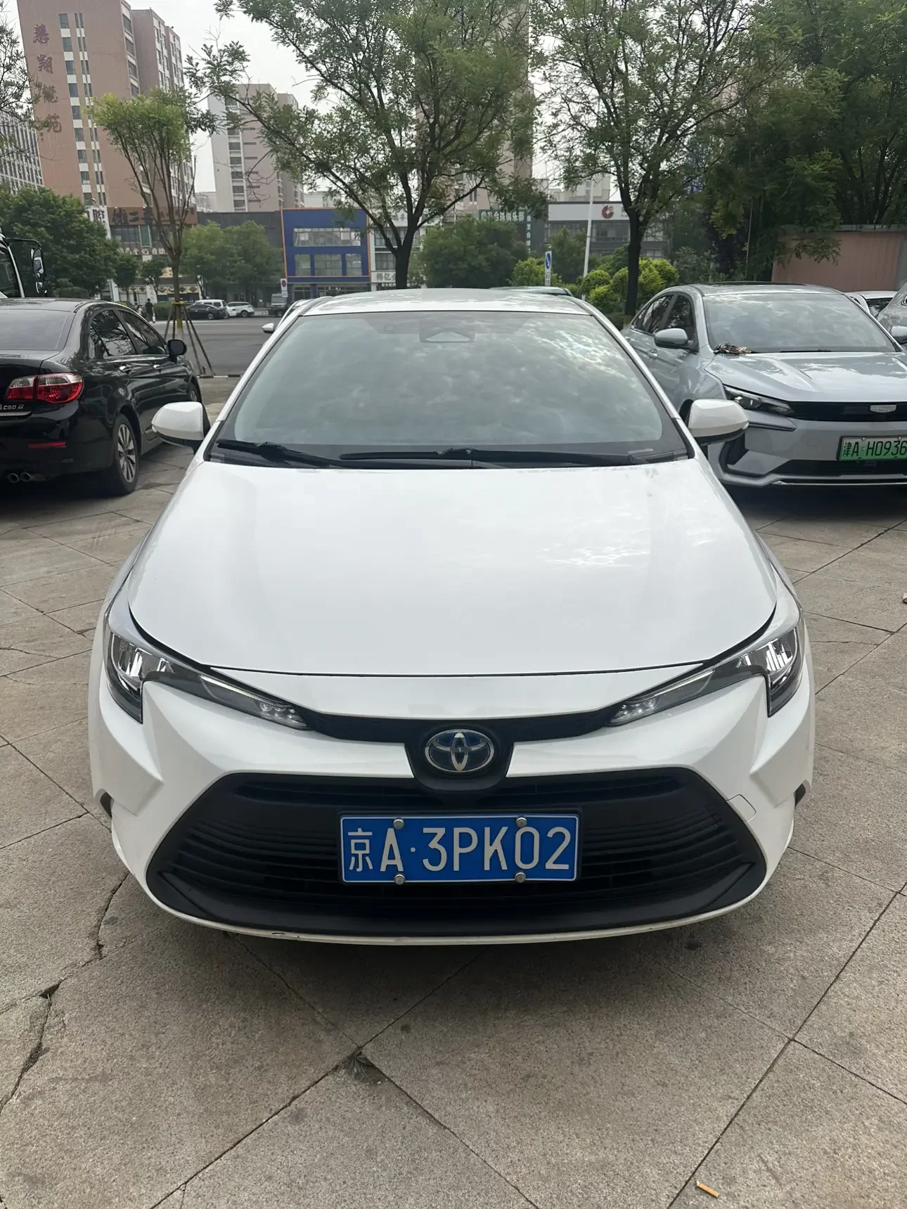 Toyota Levin