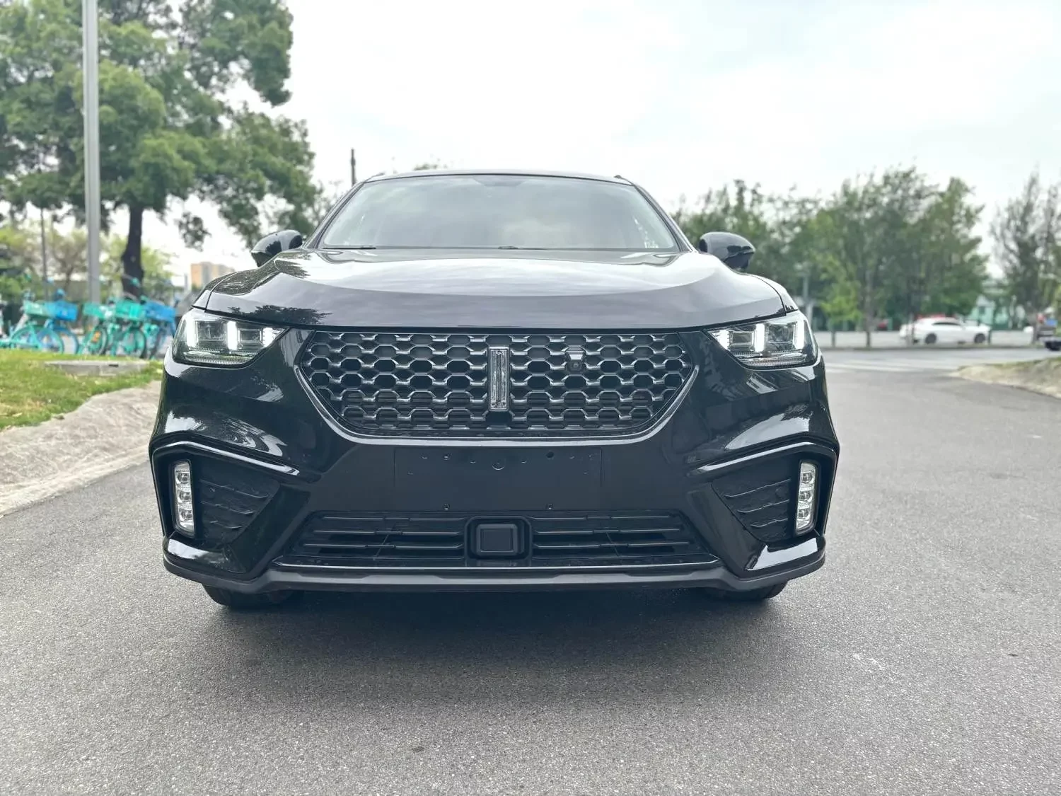 Wey Wei brand VV5