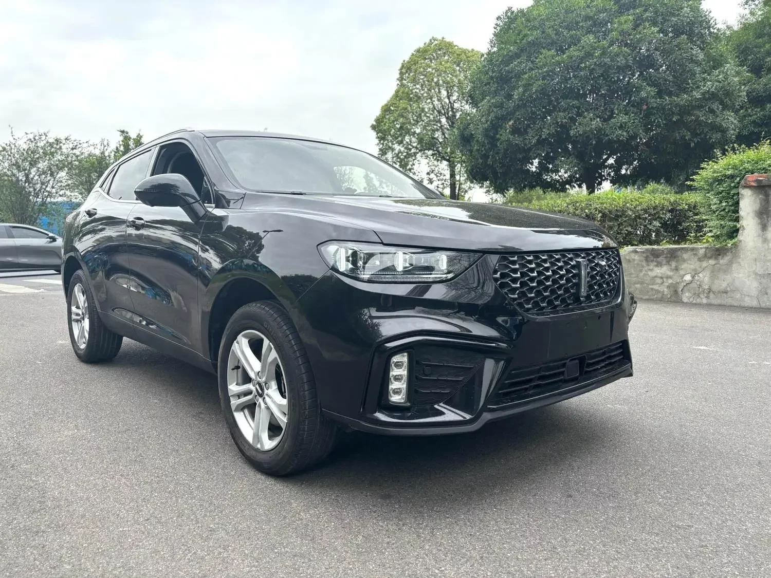 Wey Wei brand VV5