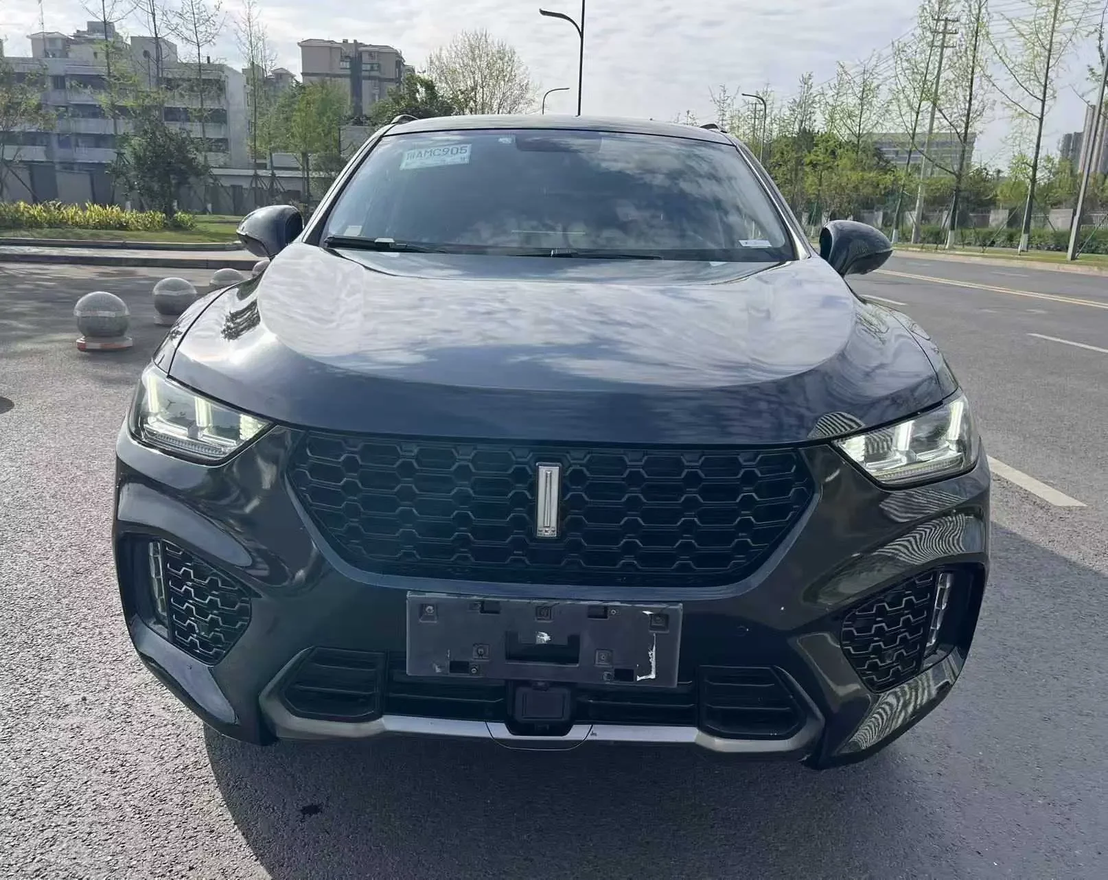 Wey Wei brand VV5