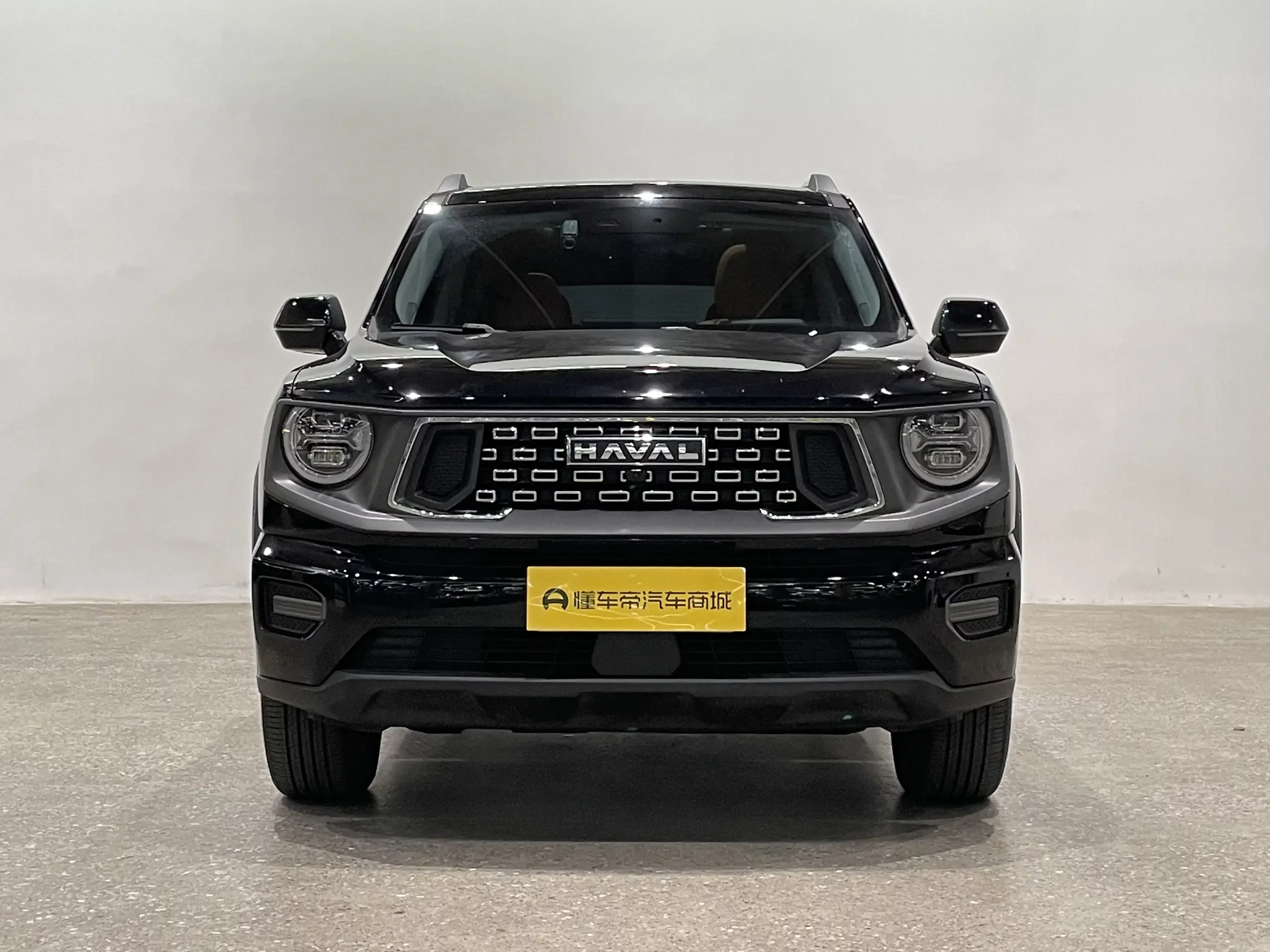 Haval H-Dog