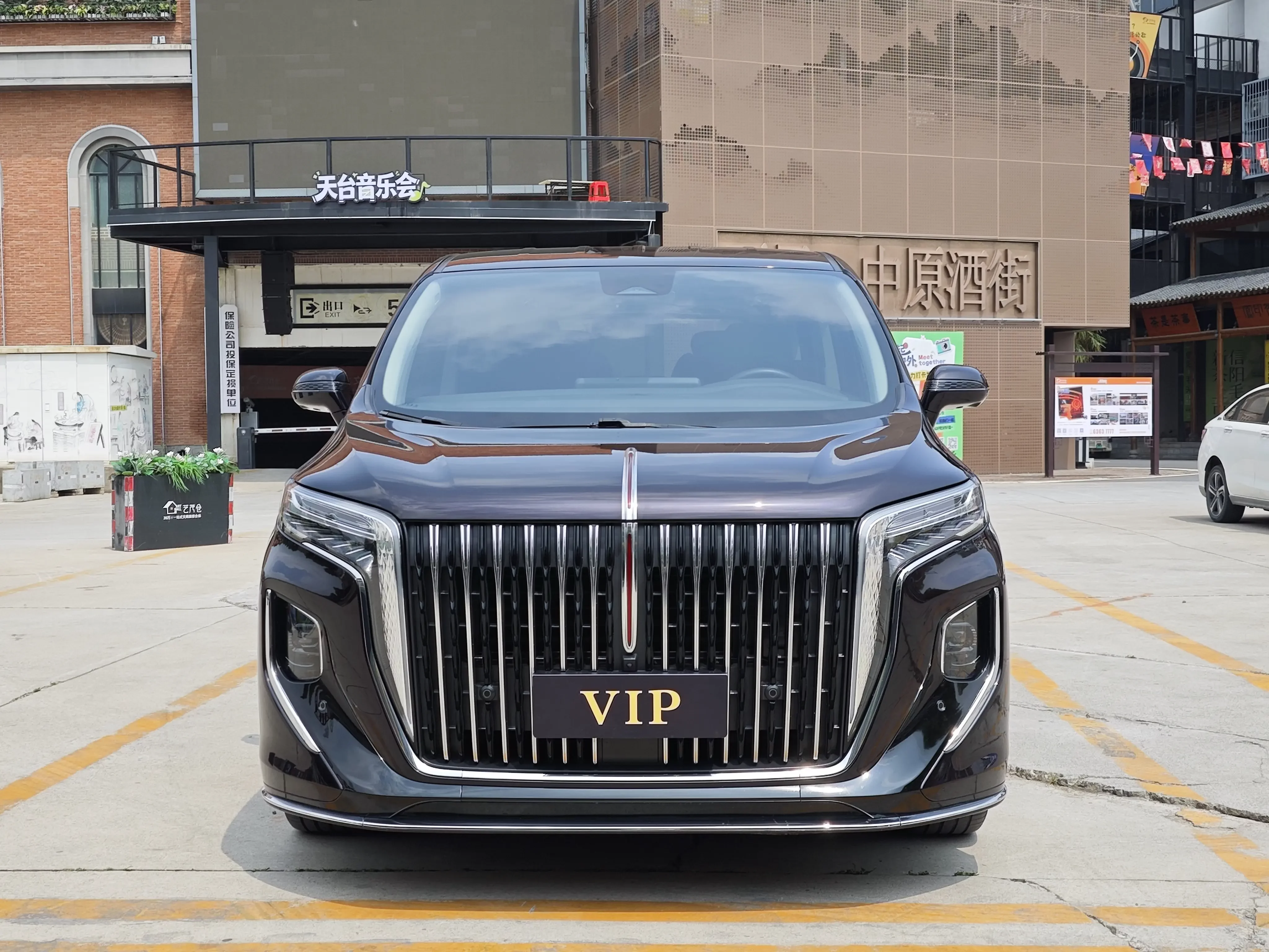 Hongqi HQ9