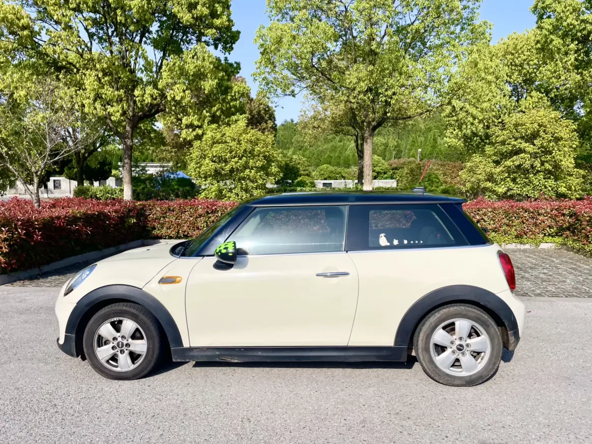 MINI 