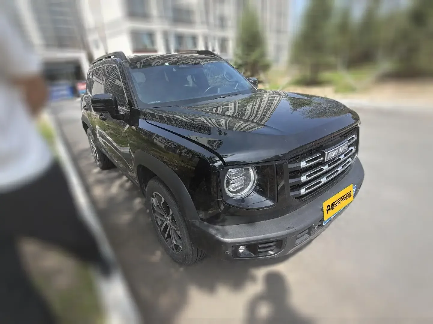 Haval Dargo