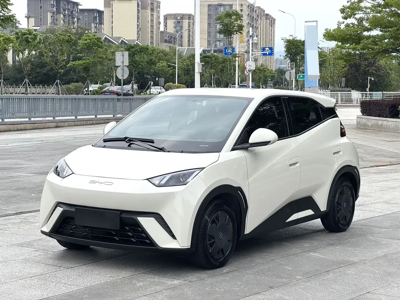 BYD seagull