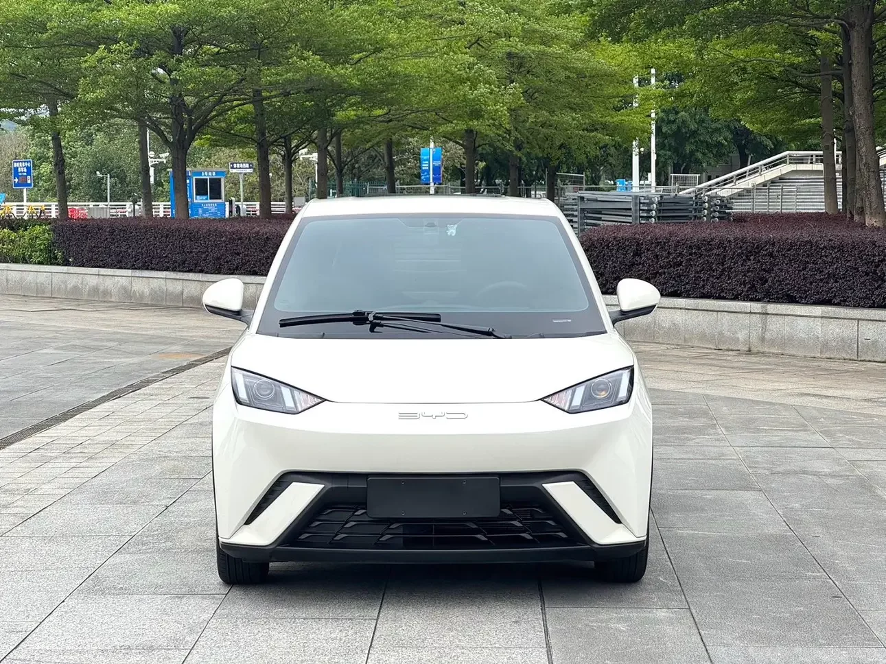 BYD seagull