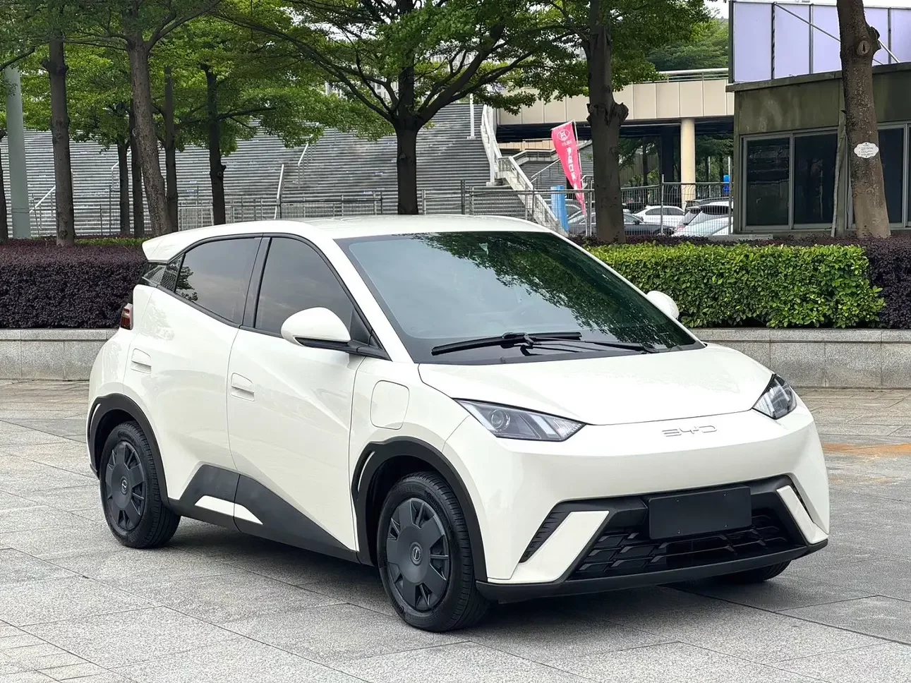 BYD seagull