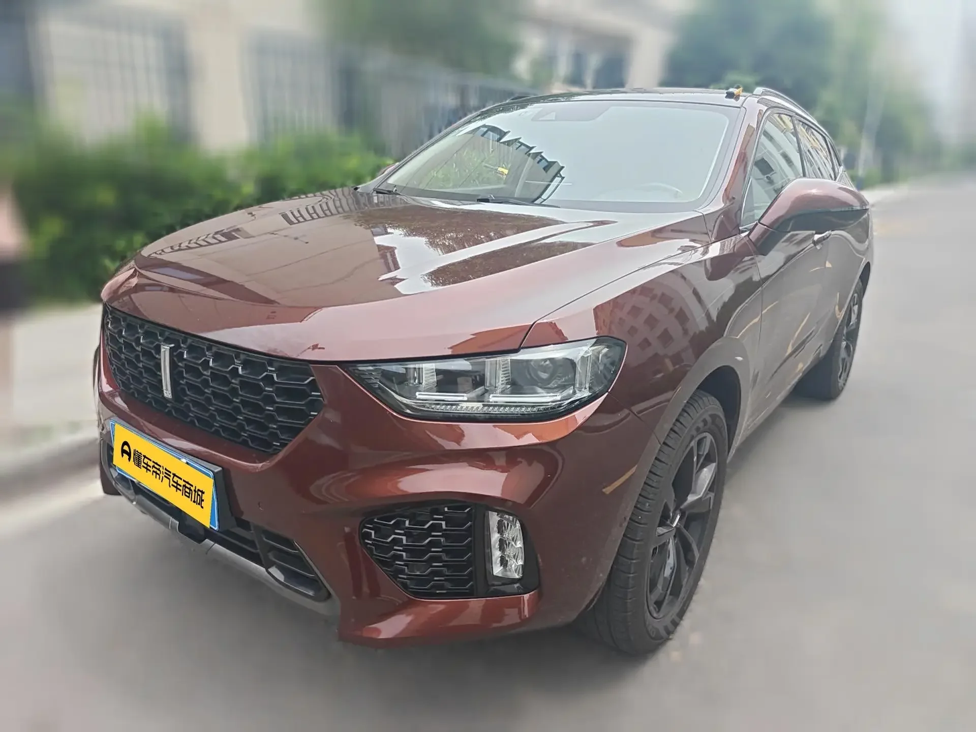 Wey Wei brand VV5