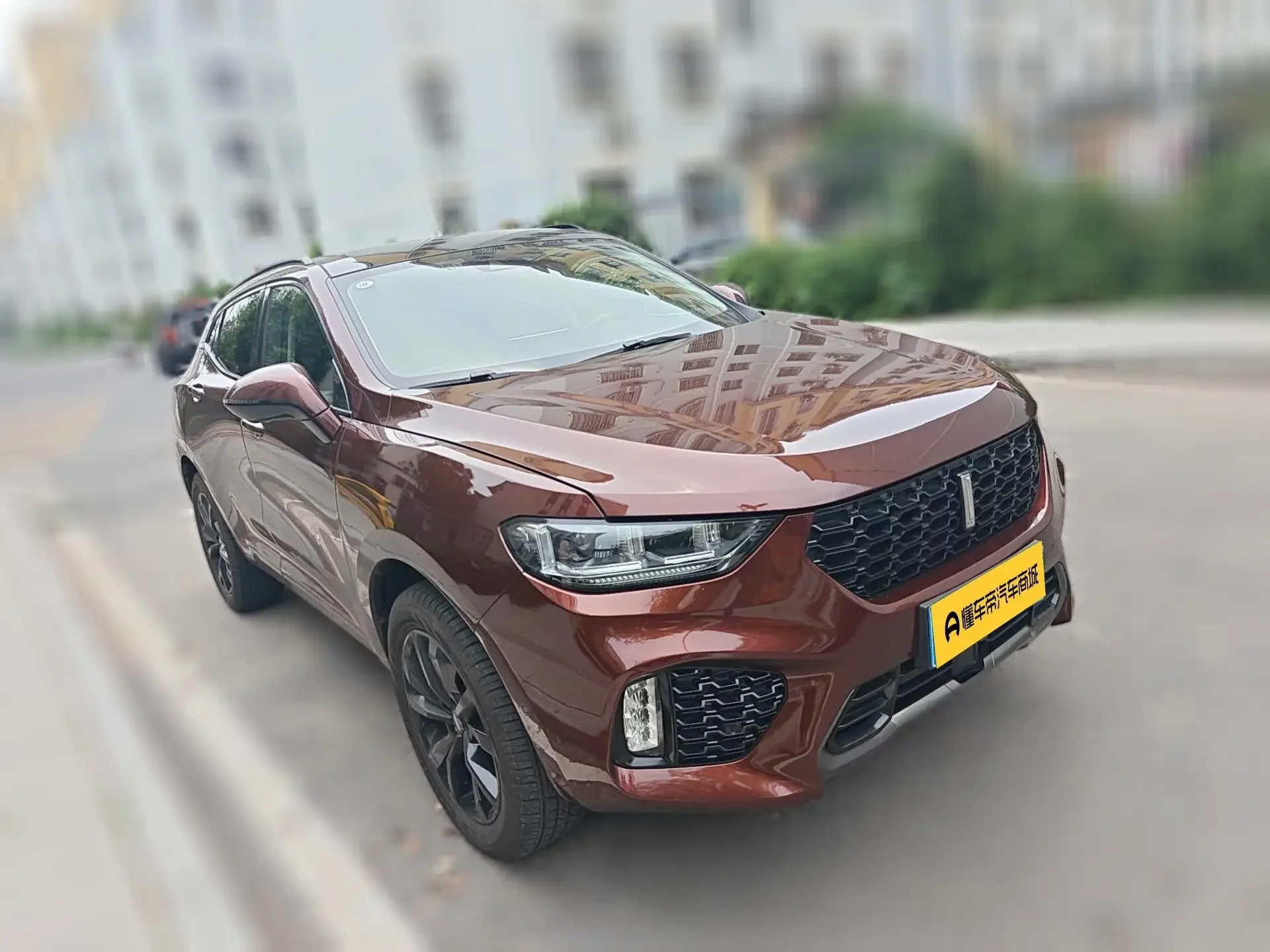 Wey Wei brand VV5