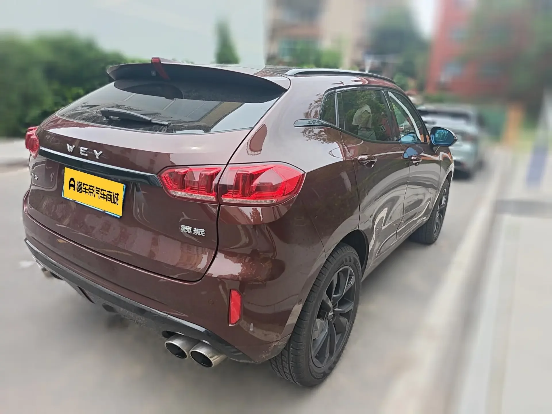 Wey Wei brand VV5