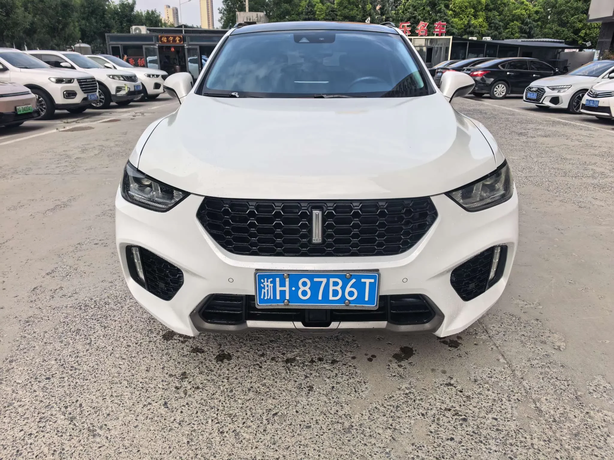 Wey Wei brand VV5