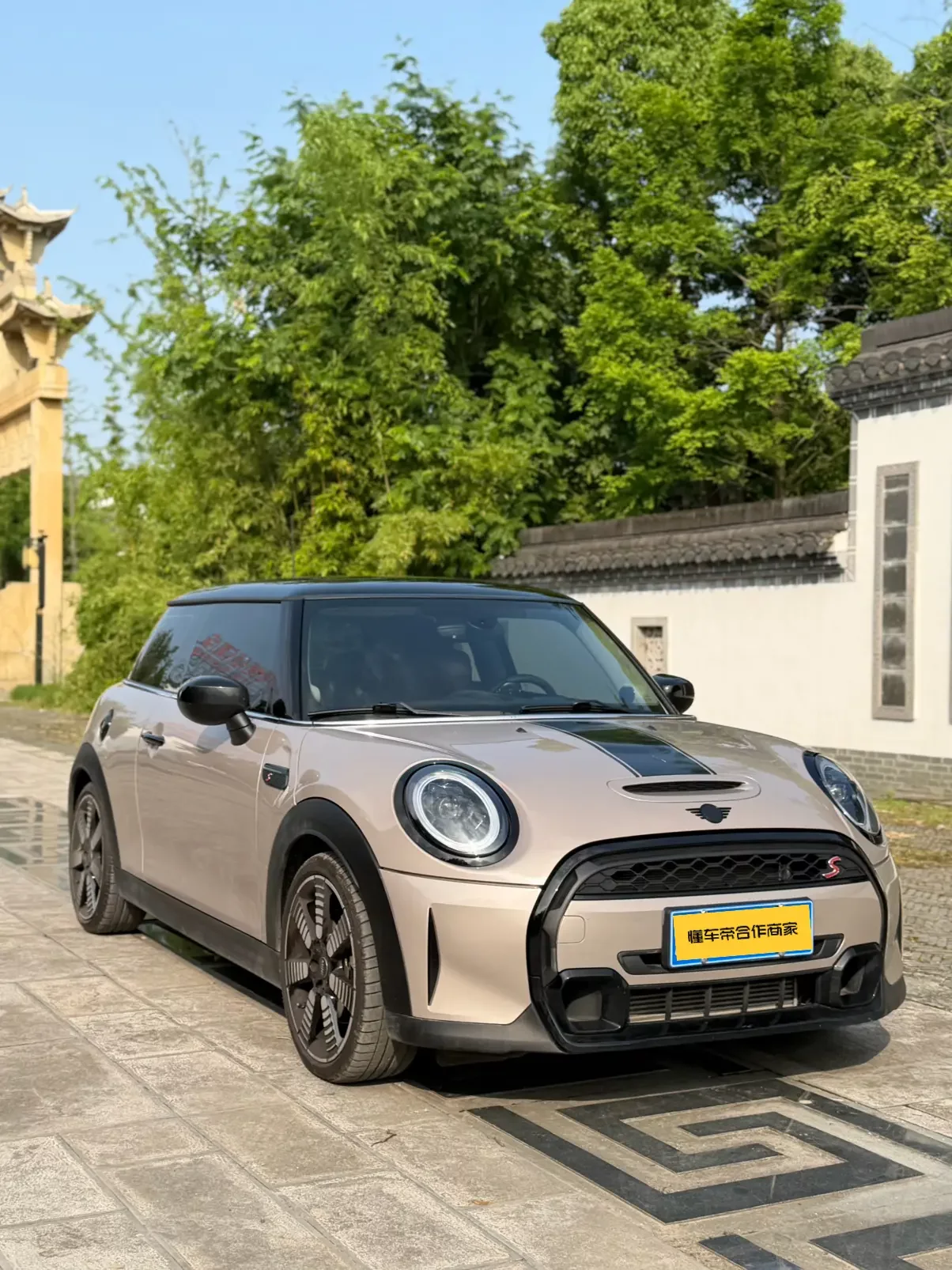 MINI 