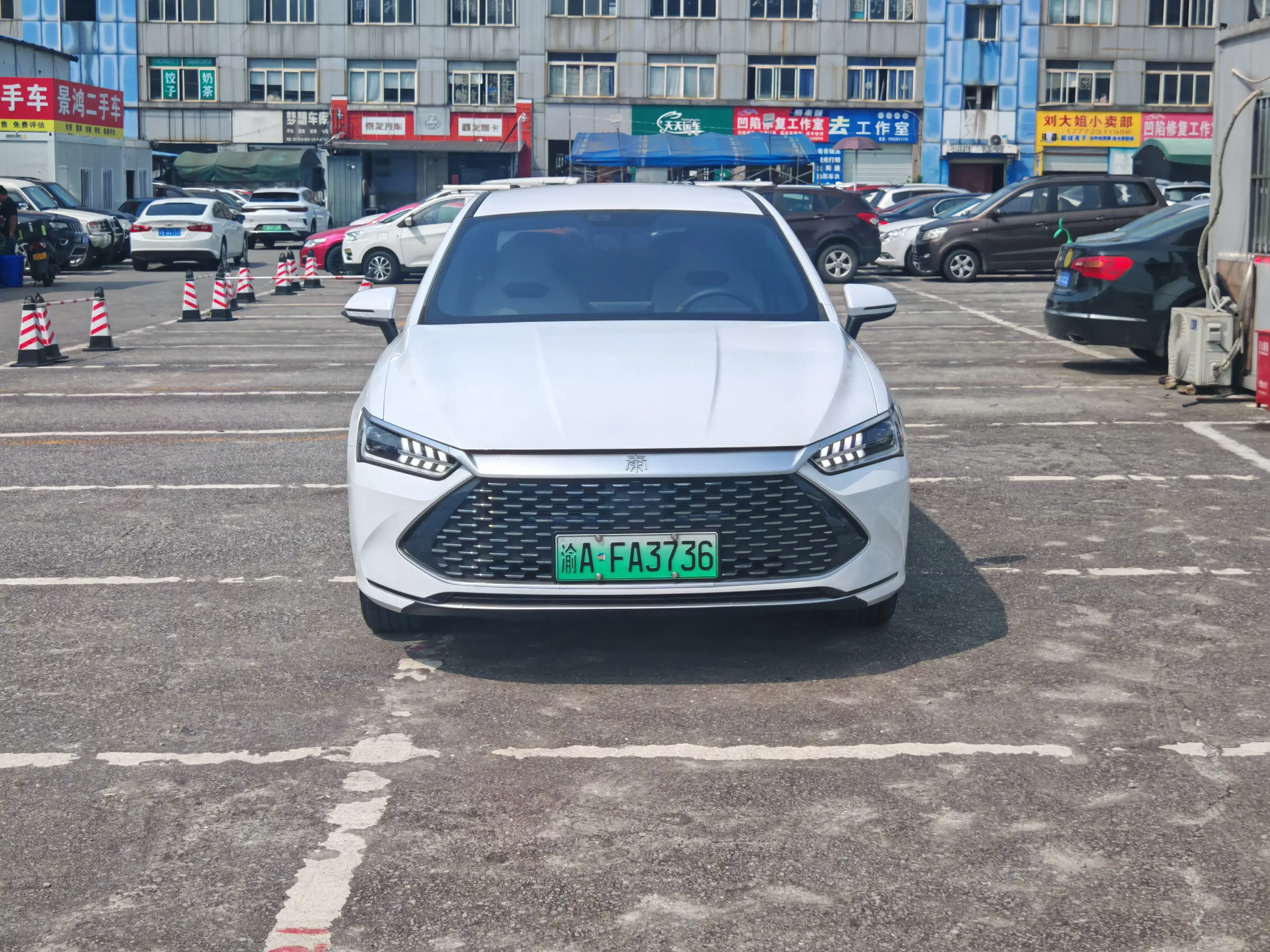 BYD Qin PLUS DM
