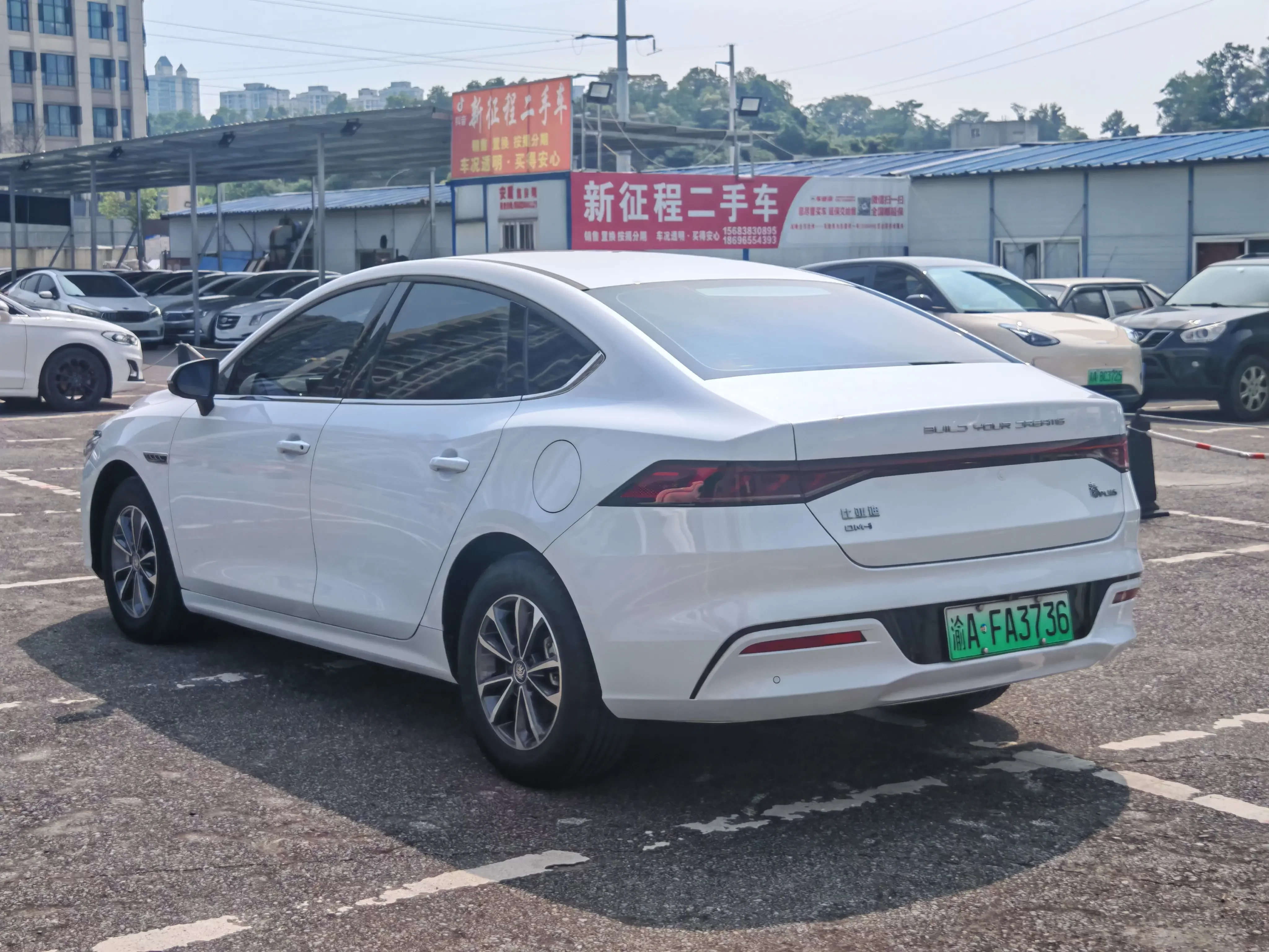 BYD Qin PLUS DM