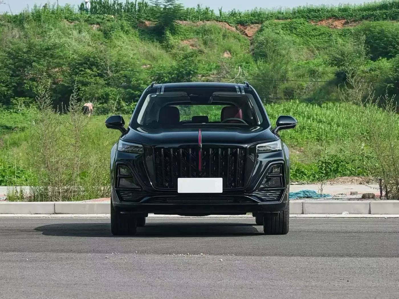 Hongqi HS5