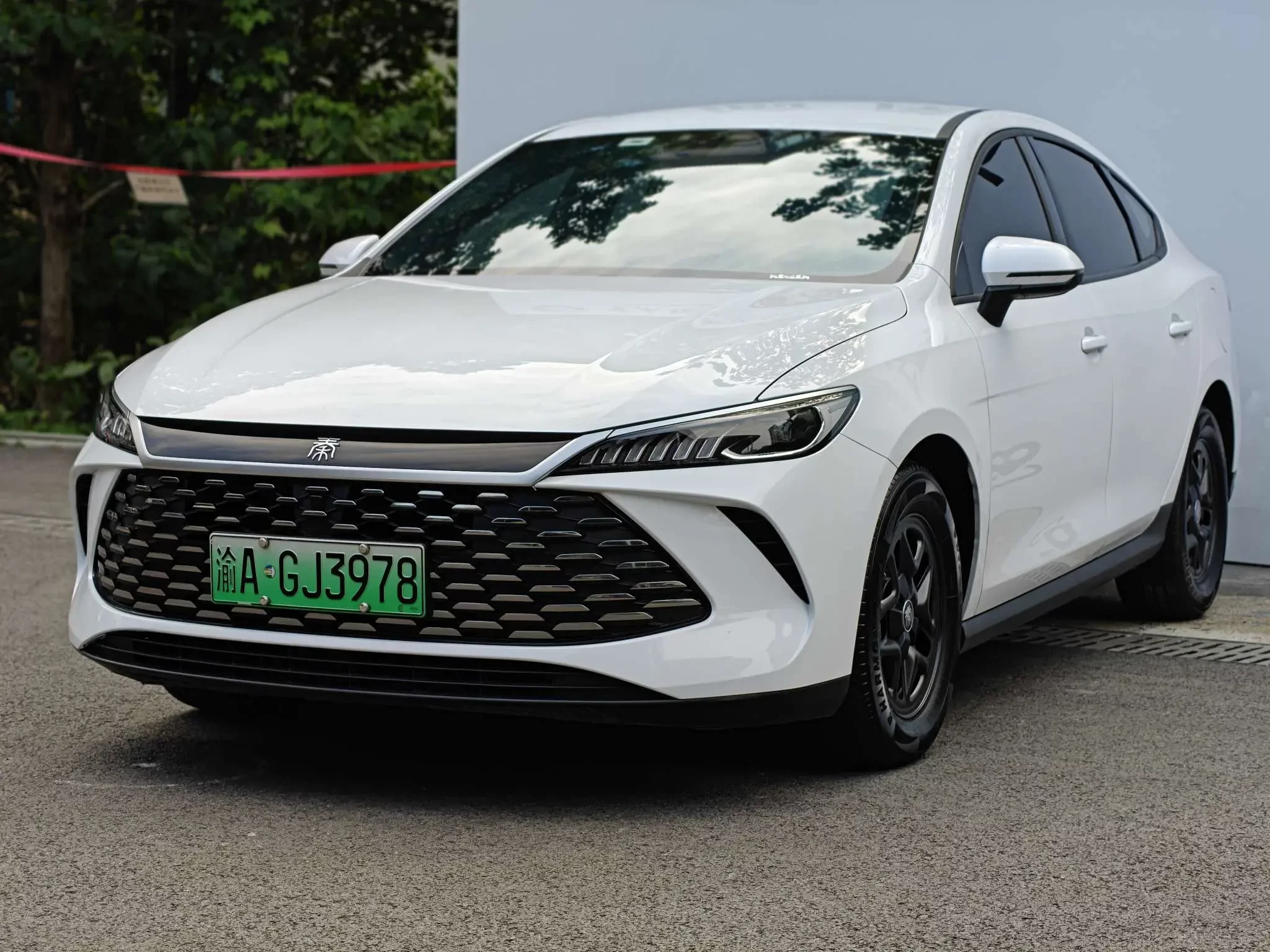 BYD Qin PLUS DM