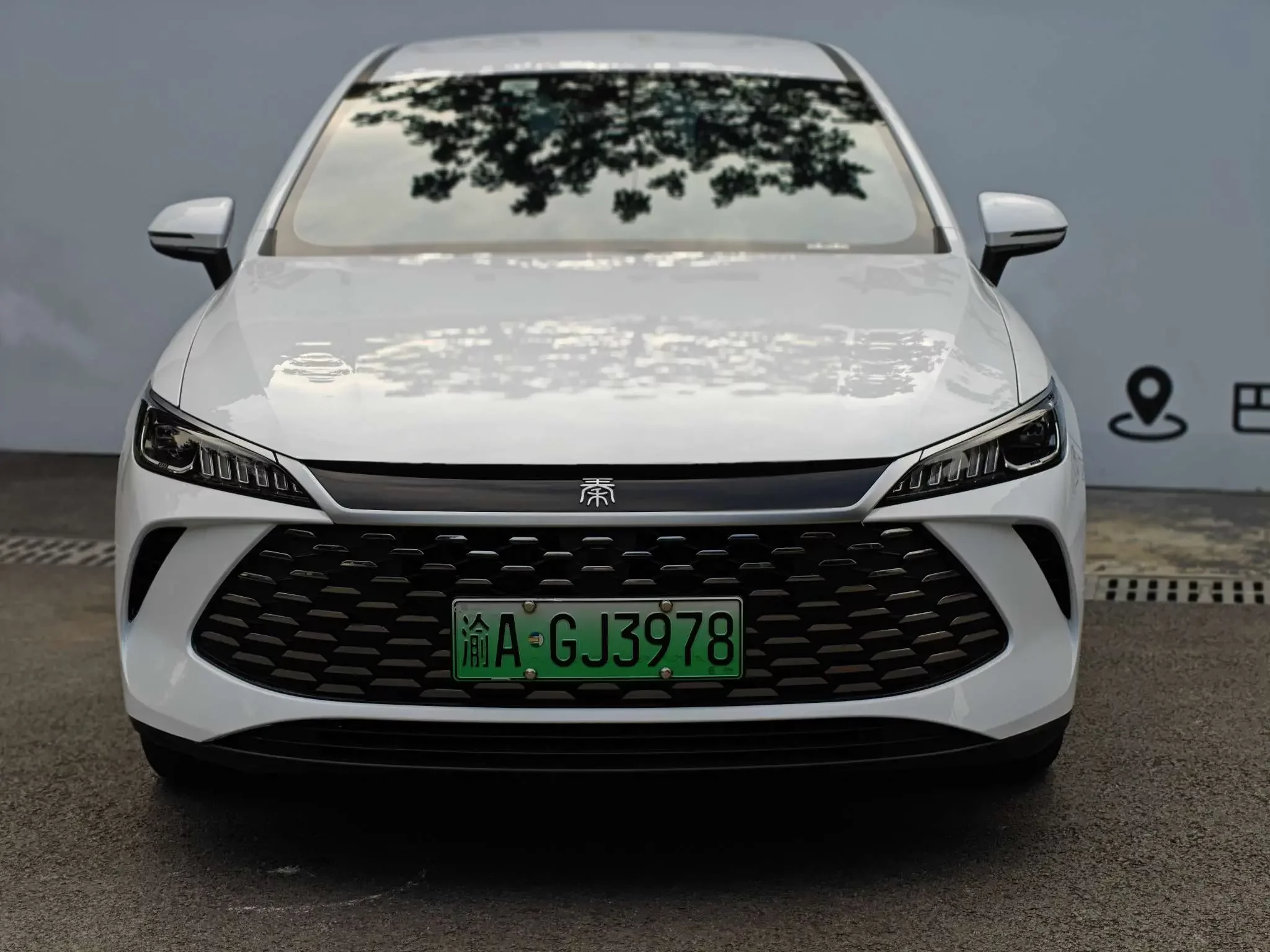 BYD Qin PLUS DM