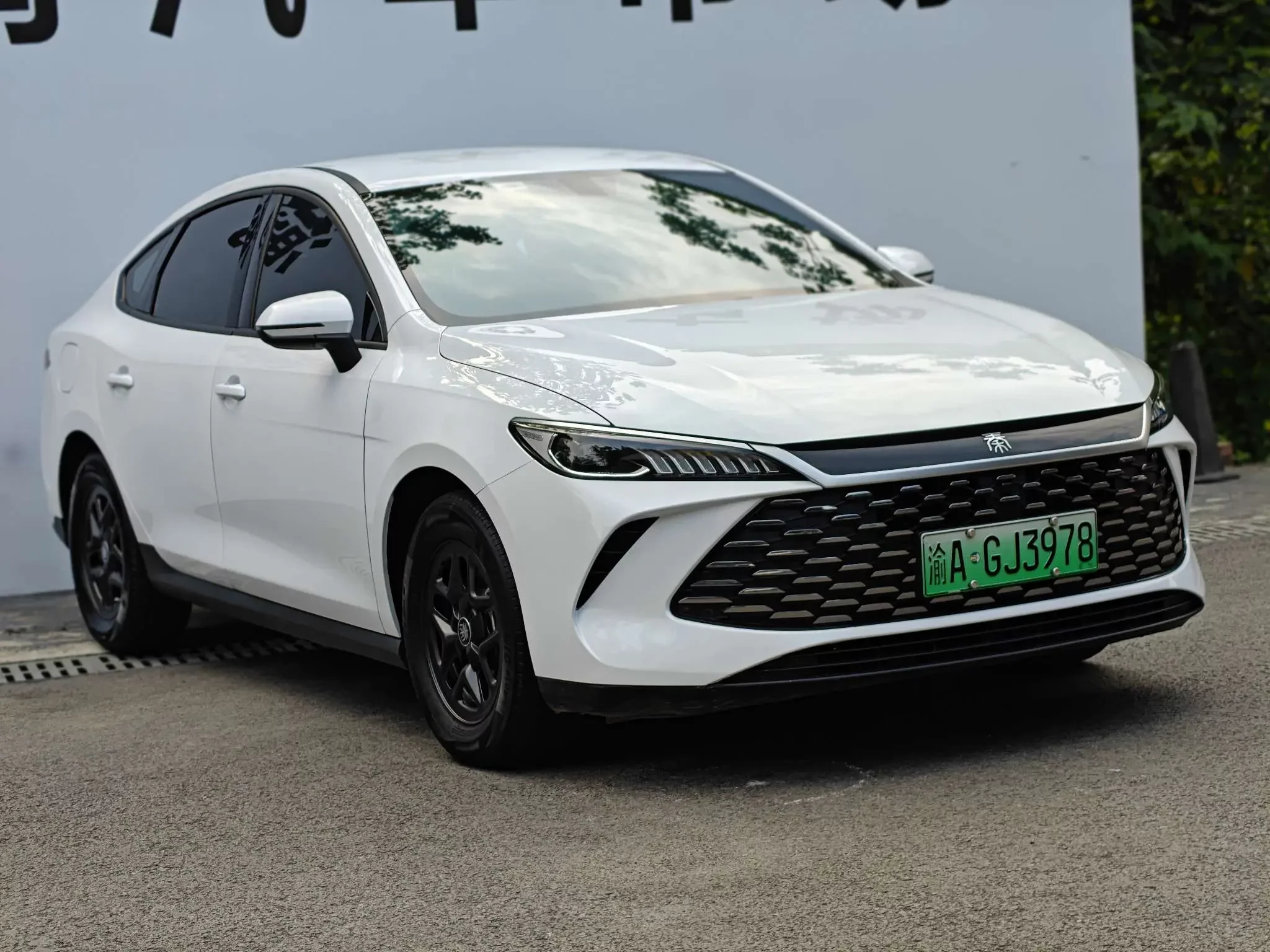BYD Qin PLUS DM