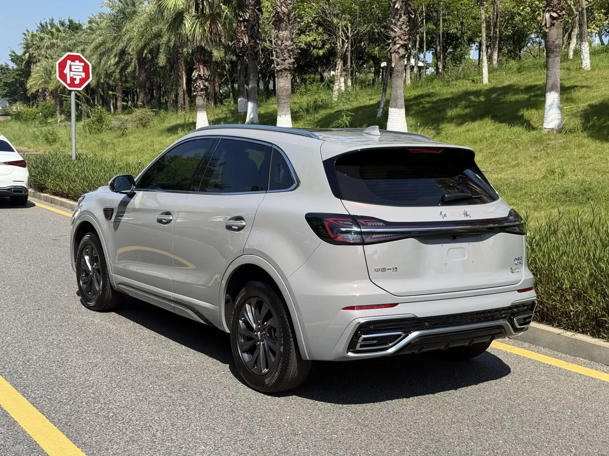 Hongqi HS5